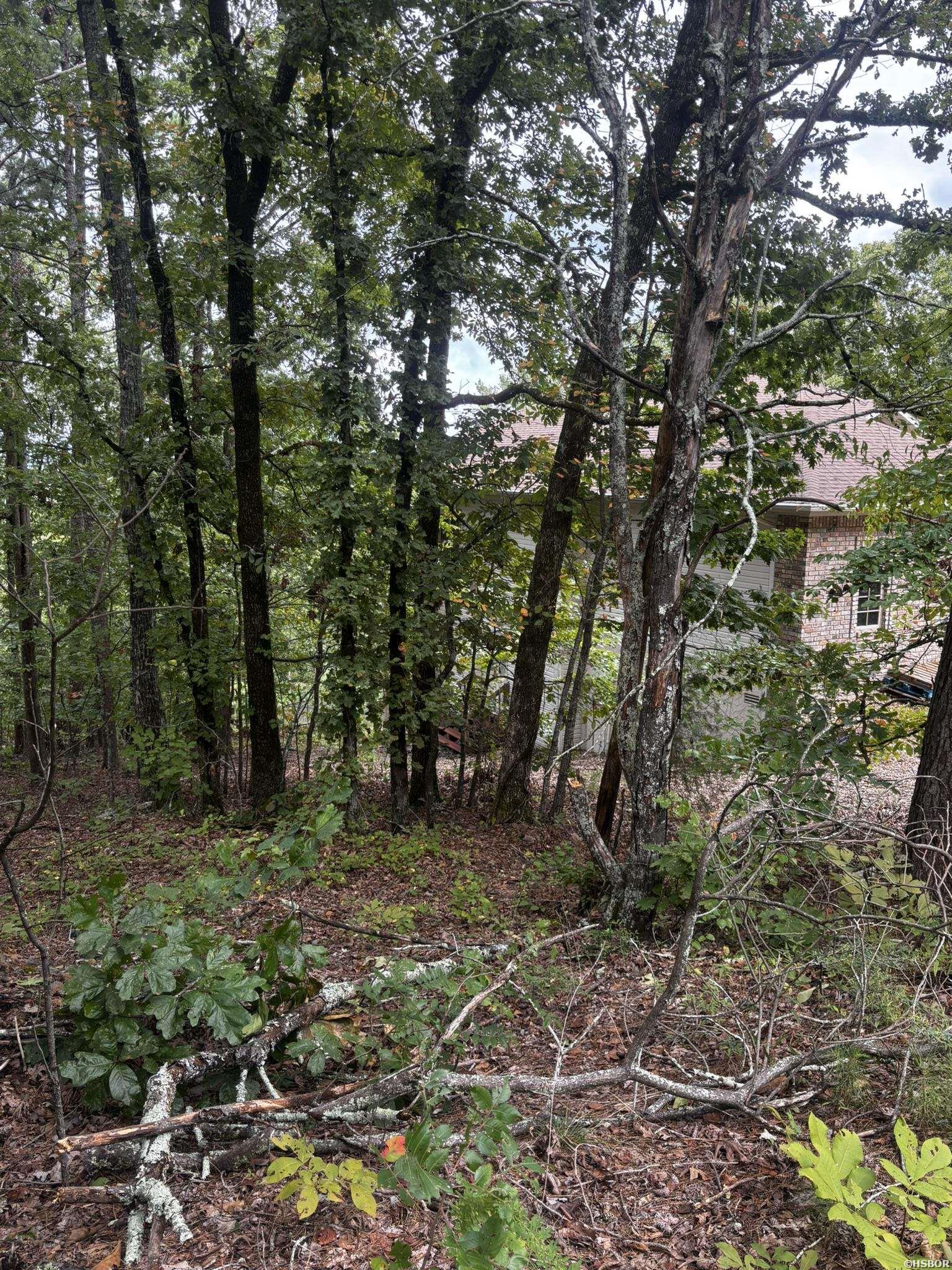 142 E Villena Drive Property Photo 4