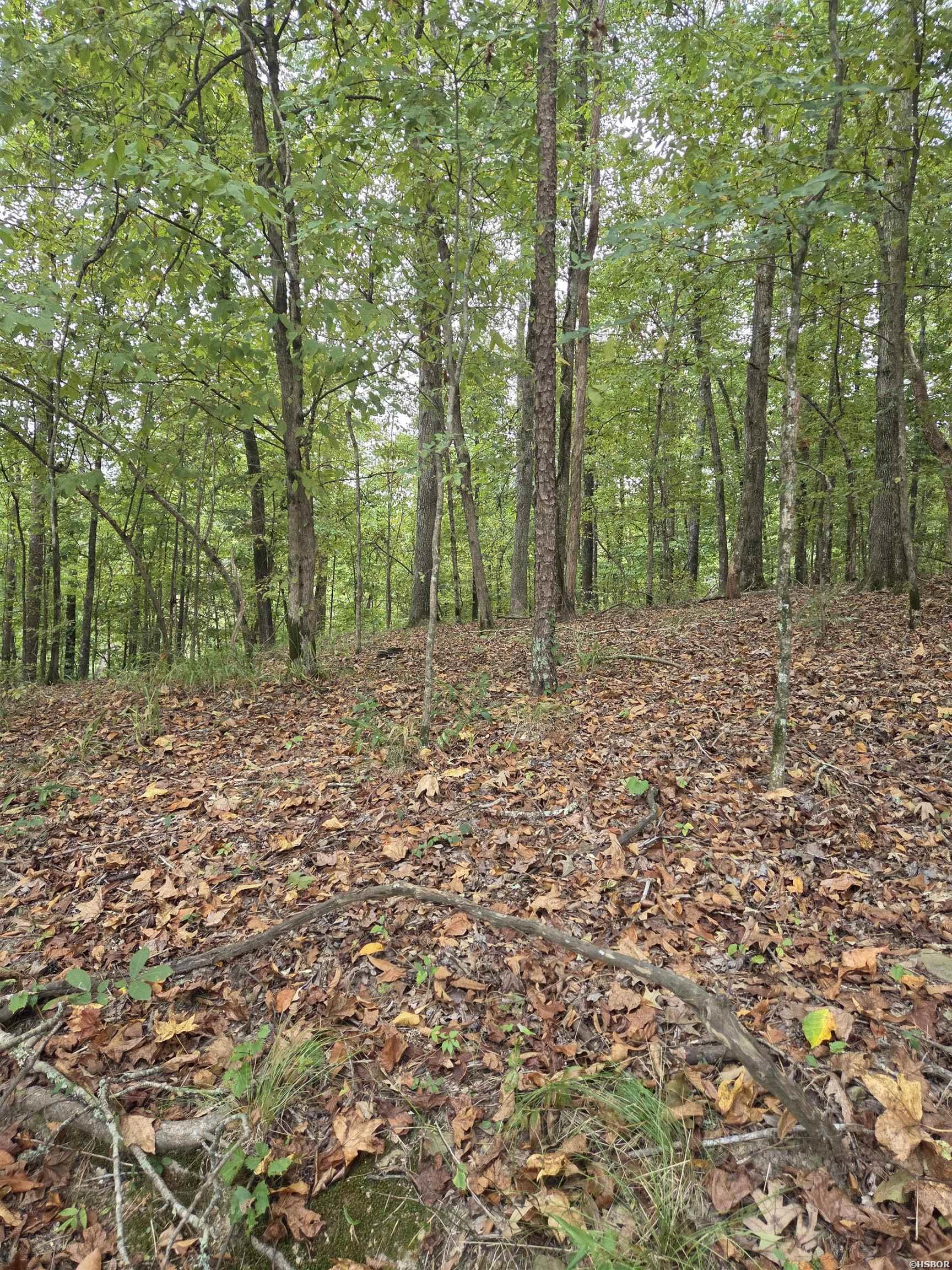 21 Springbrook Property Photo 1