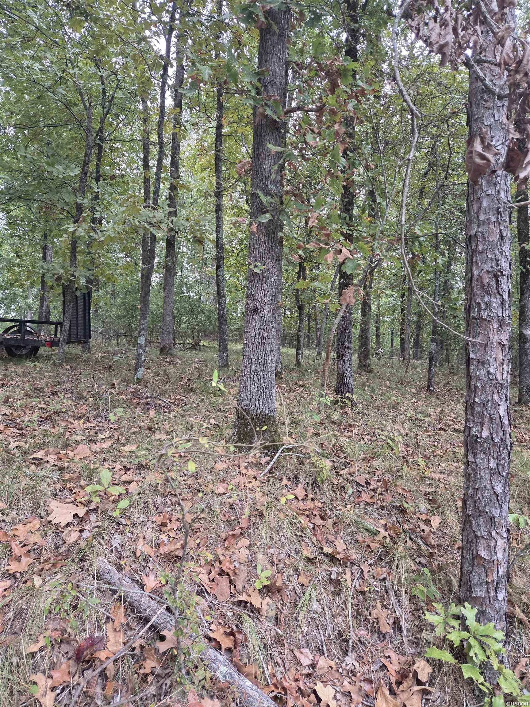 1587 Diamondhead Property Photo 1