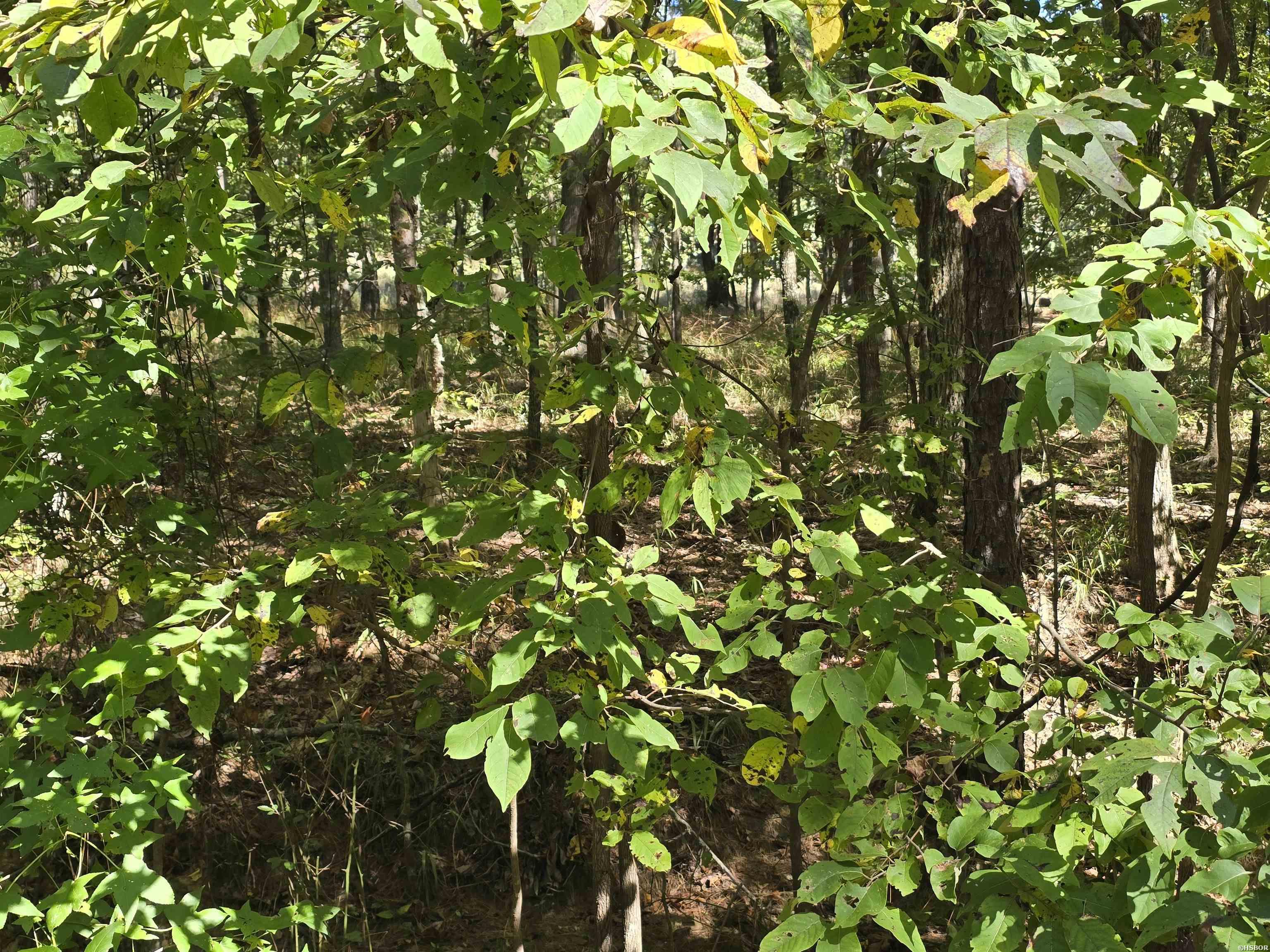 Lot 413 Plum Hollow Property Photo 2