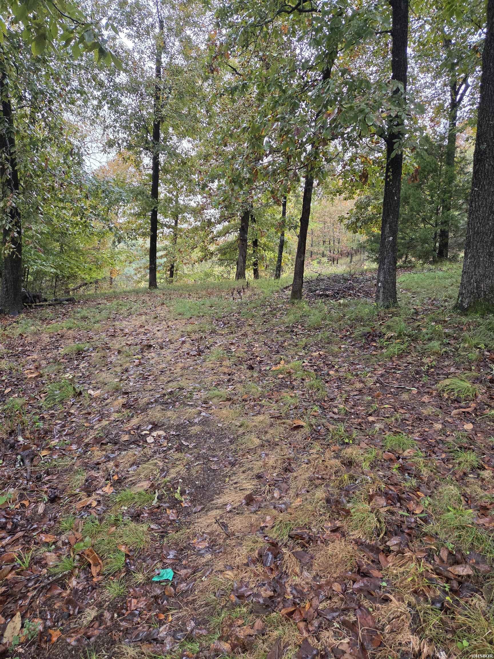 1453 St Andrews Property Photo 3