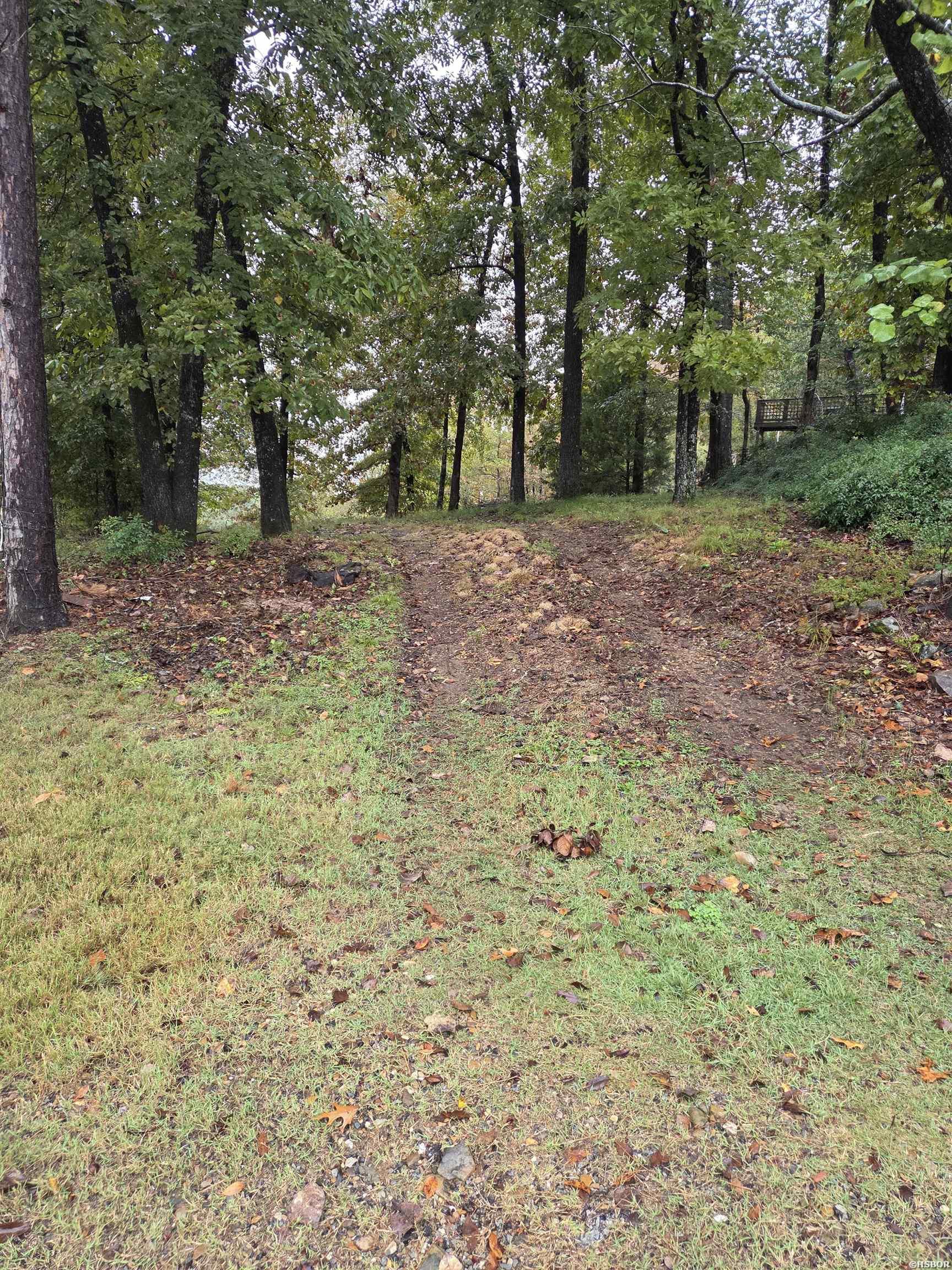 1453 St Andrews Property Photo 4