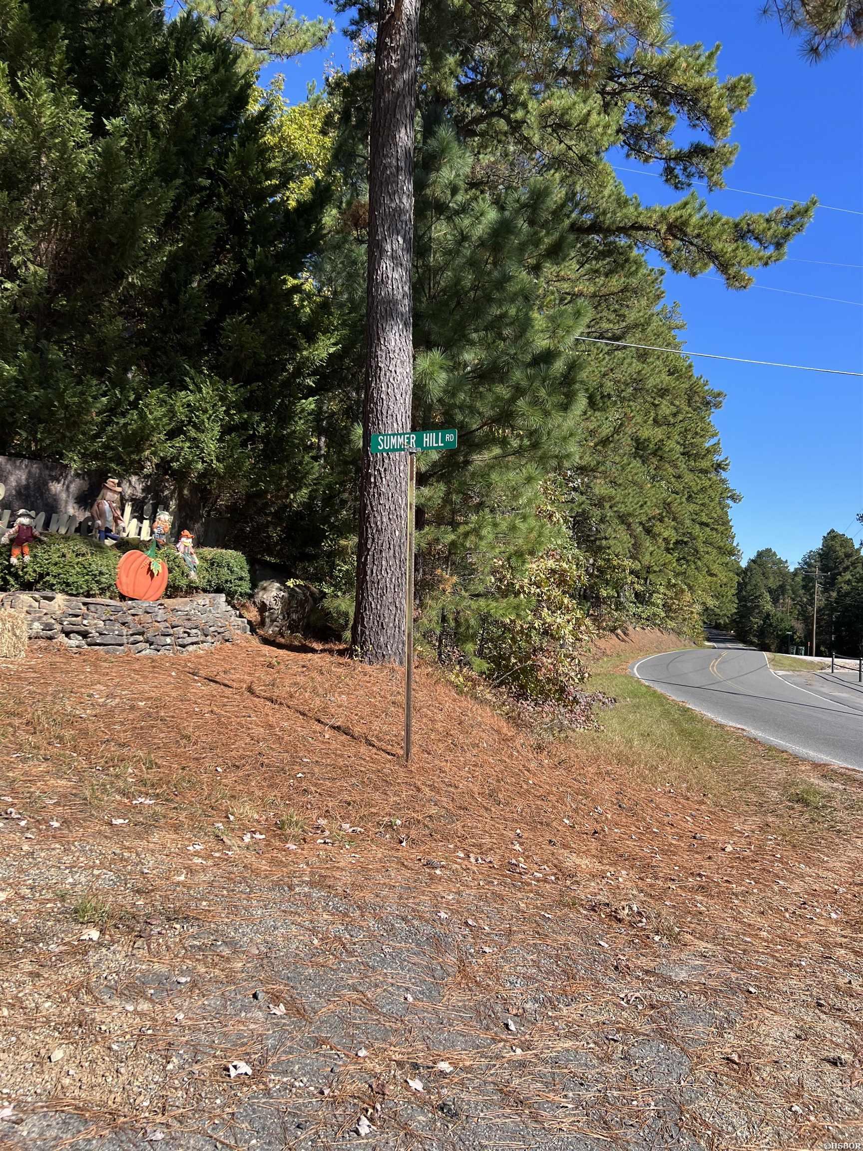 Tbd Summer Hill Road Property Photo 3