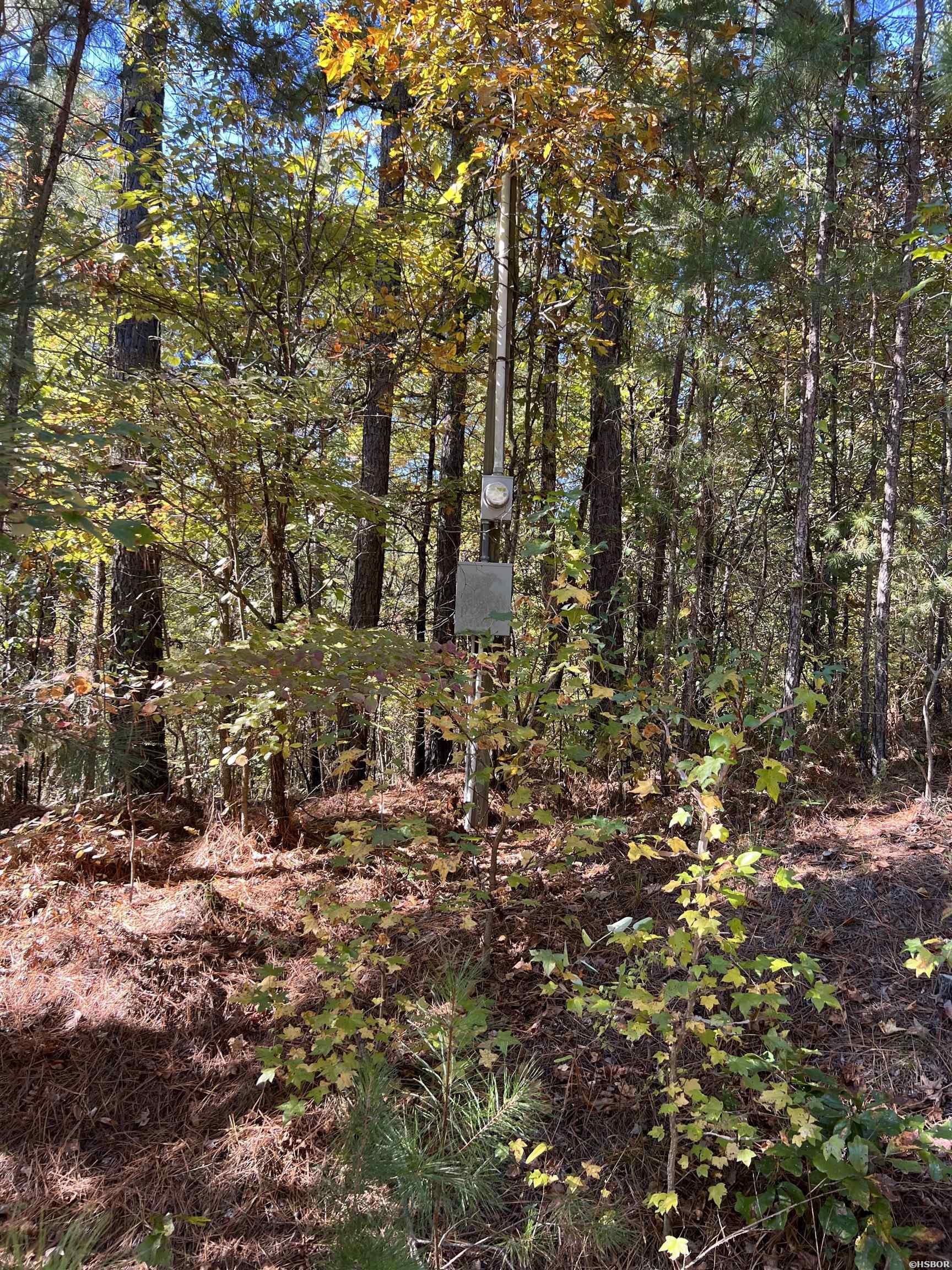 Tbd Summer Hill Road Property Photo 5