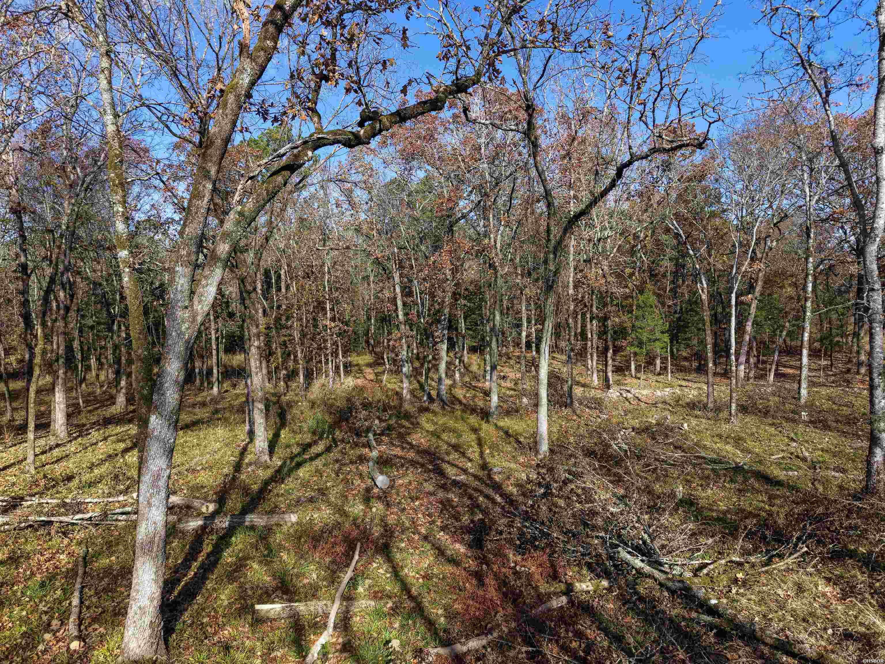 458 Union Hill Road Property Photo 3