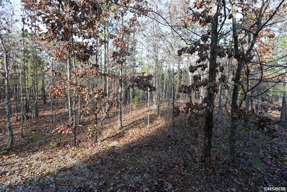 36 Wildlife Lane Property Photo 44