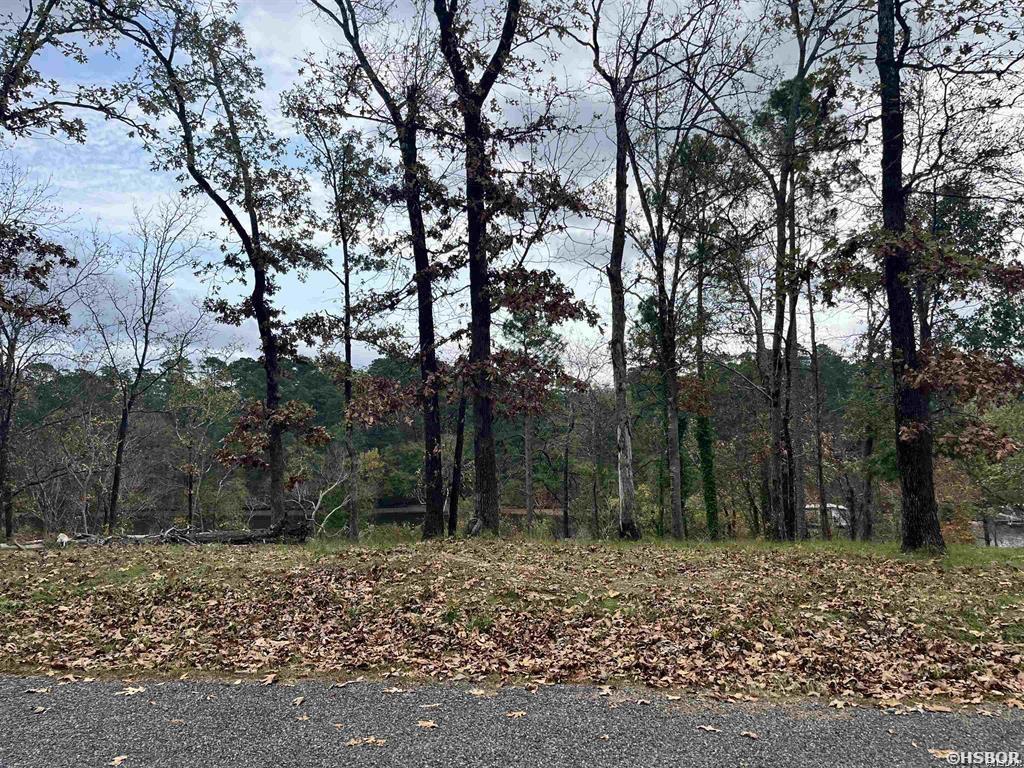 Tbd Warpath Drive Property Photo 7