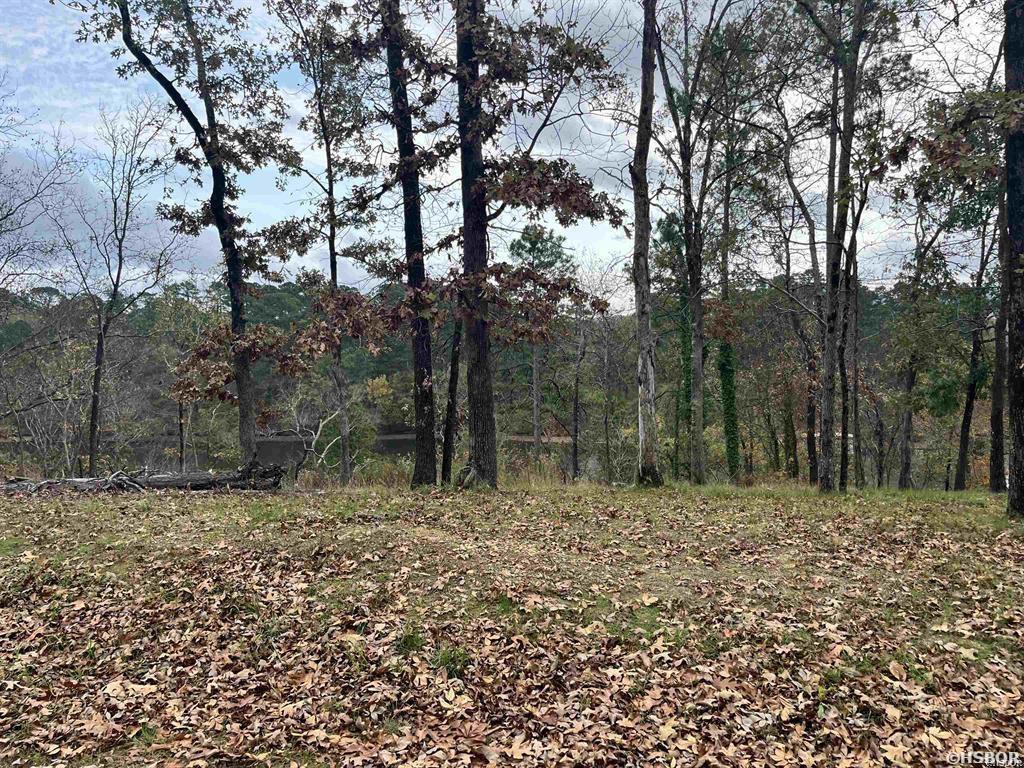 Tbd Warpath Drive Property Photo 15