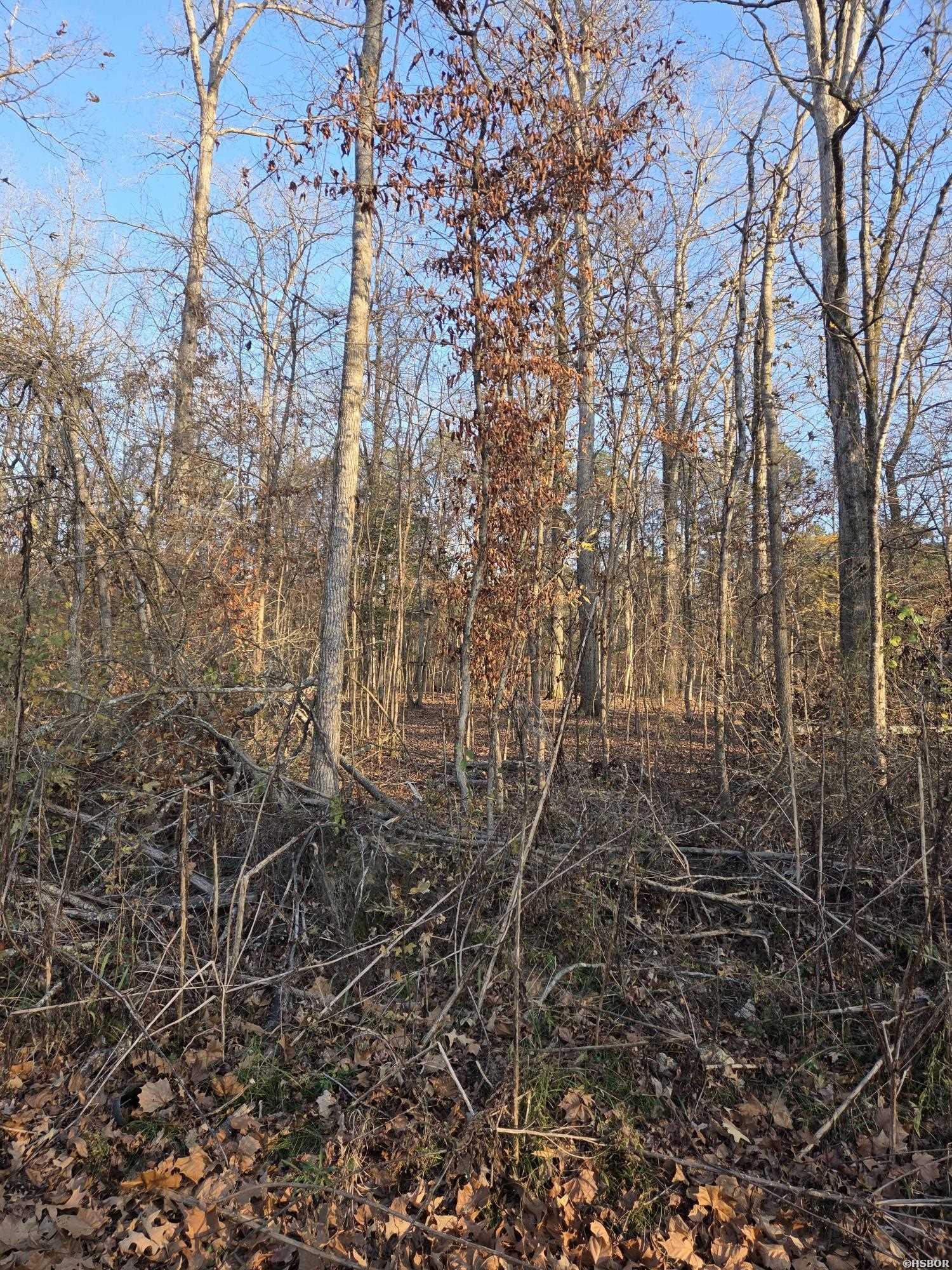 2764 Lost Lake Property Photo 3