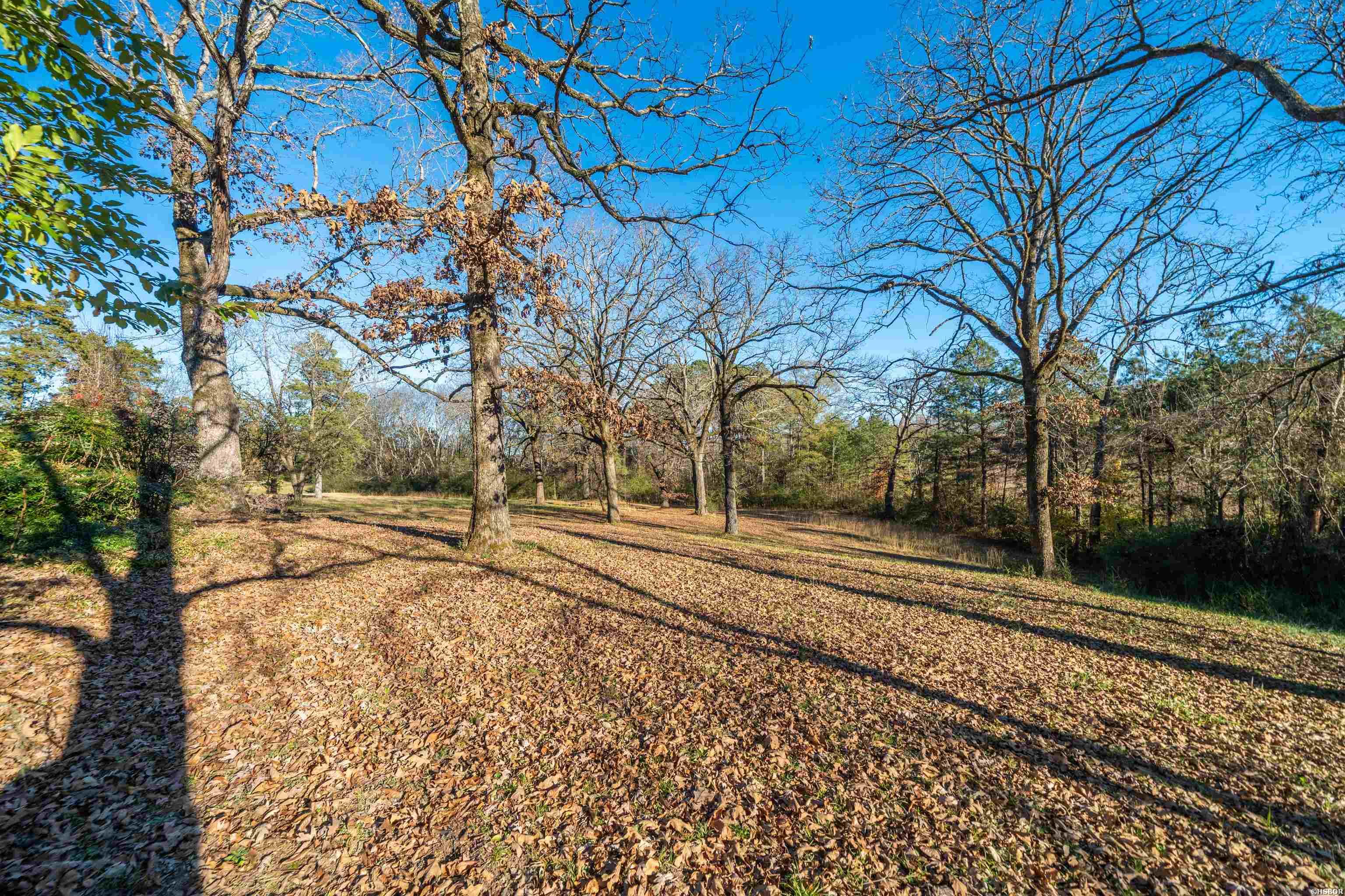 435 Marion Anderson Property Photo 4