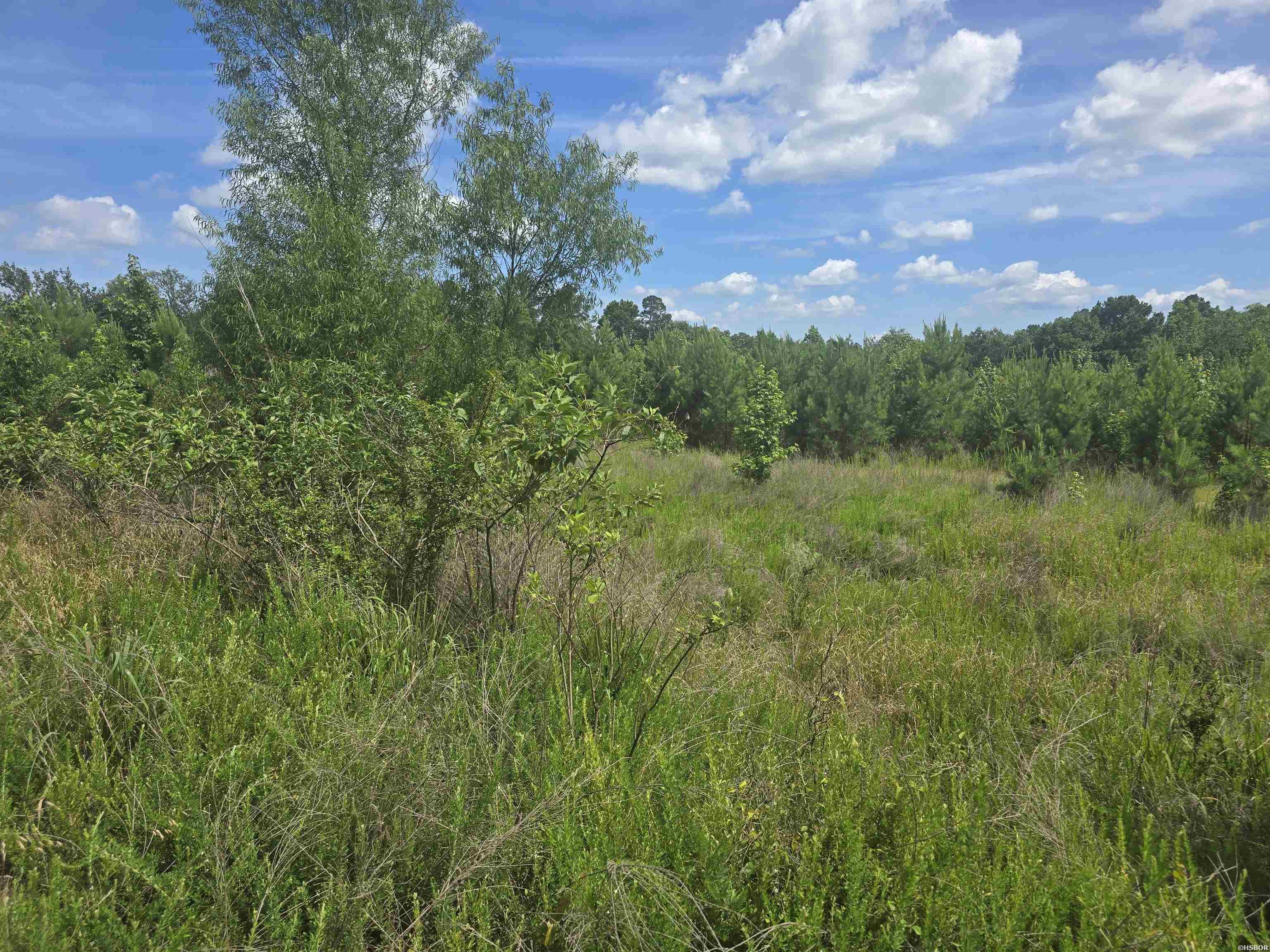 Tbd Wilson Lake Lane Property Photo 2