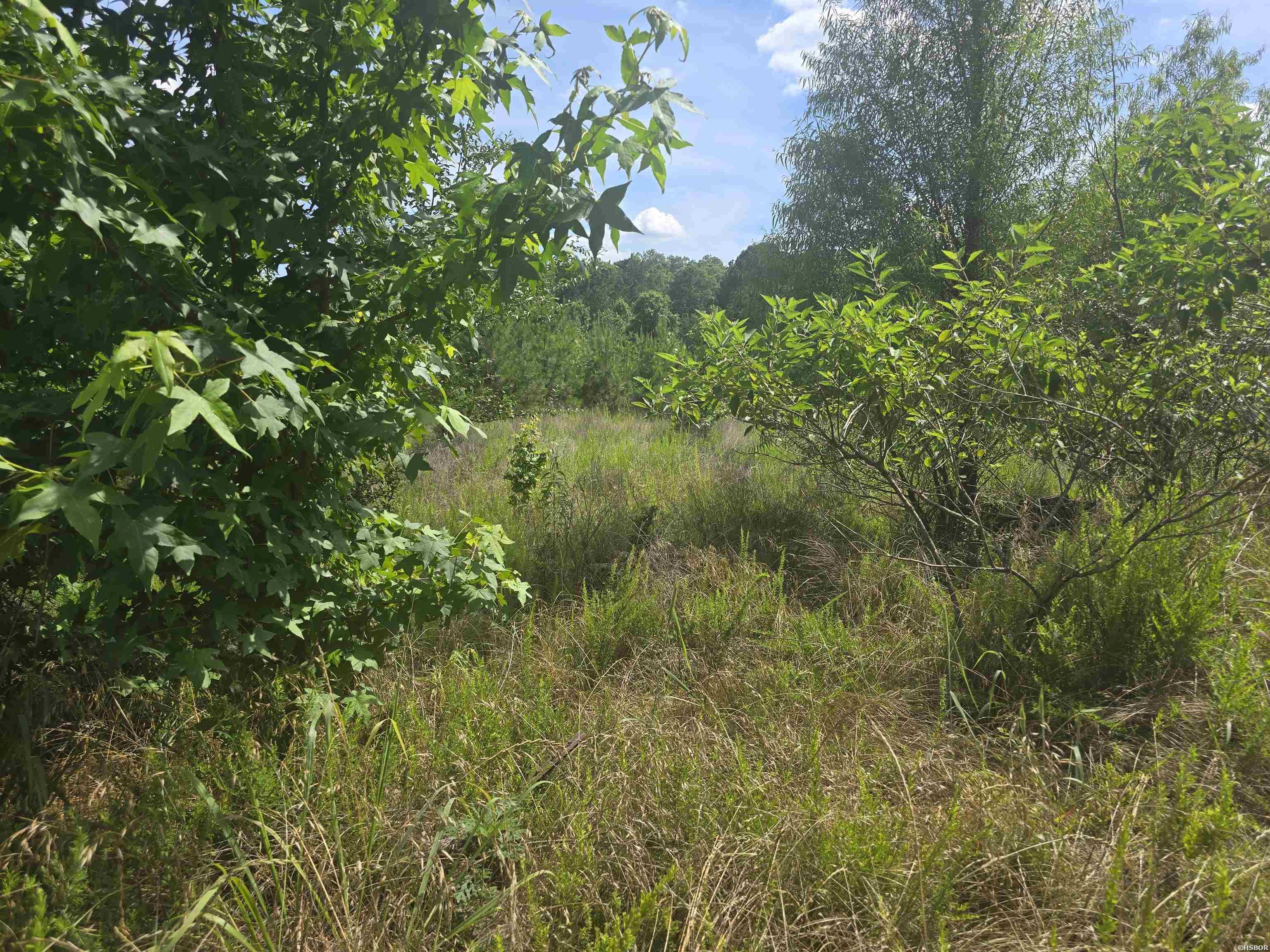 Tbd Wilson Lake Lane Property Photo 3
