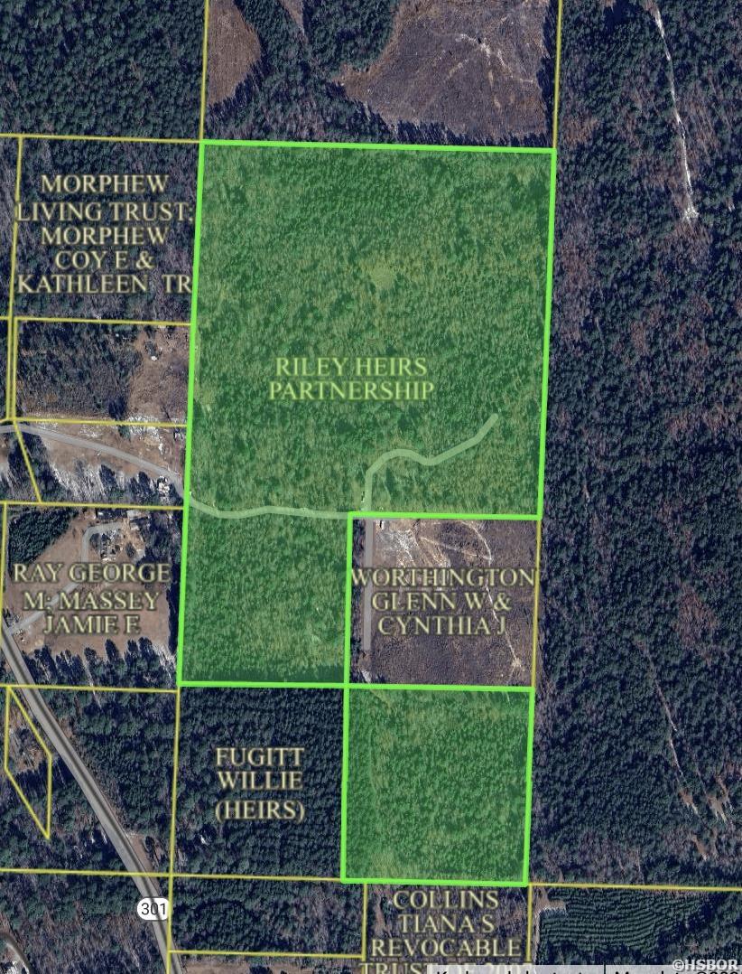 Tbd Hwy 301 Property Photo 2
