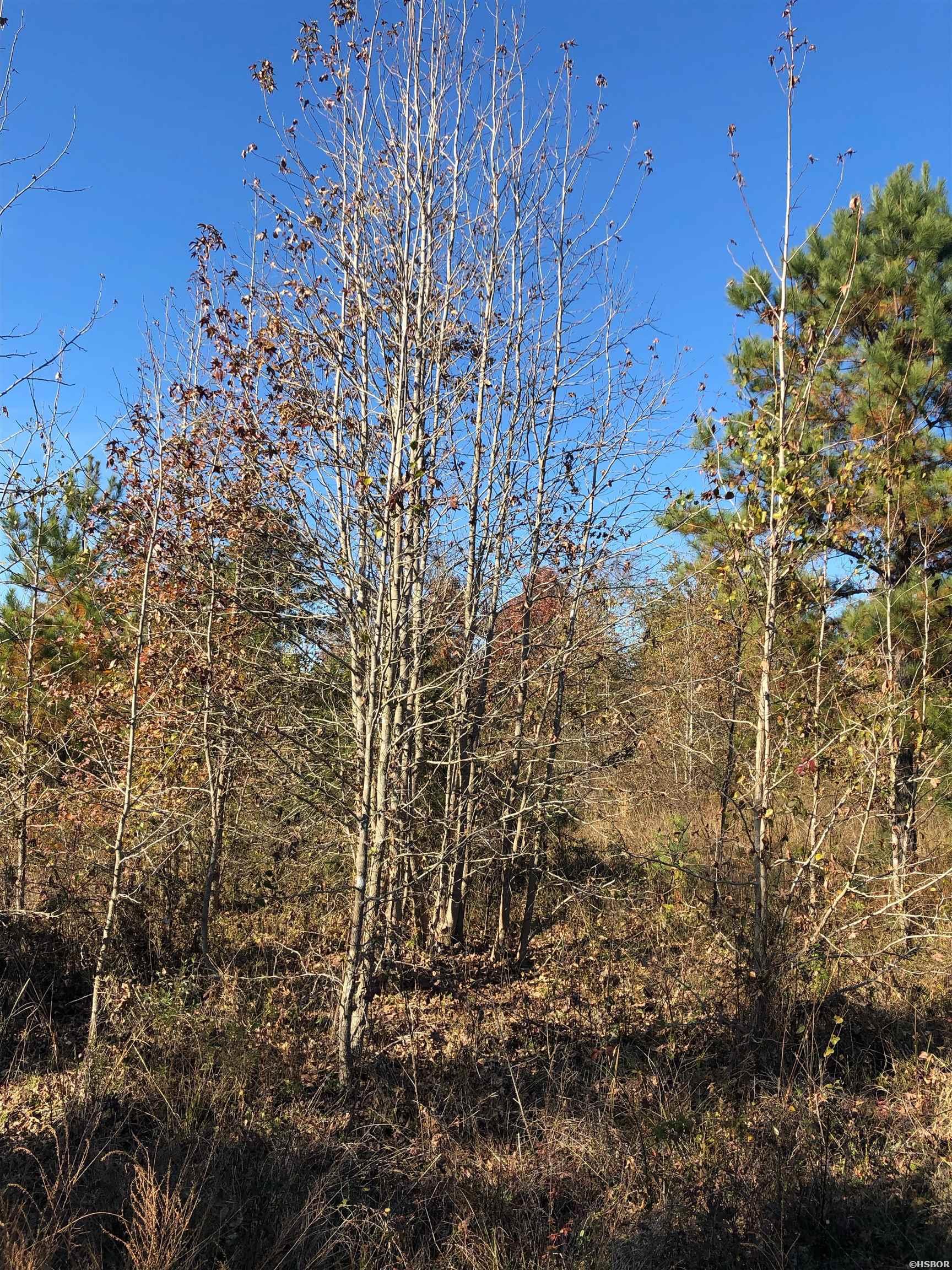 Tbd Hwy 301 Property Photo 6