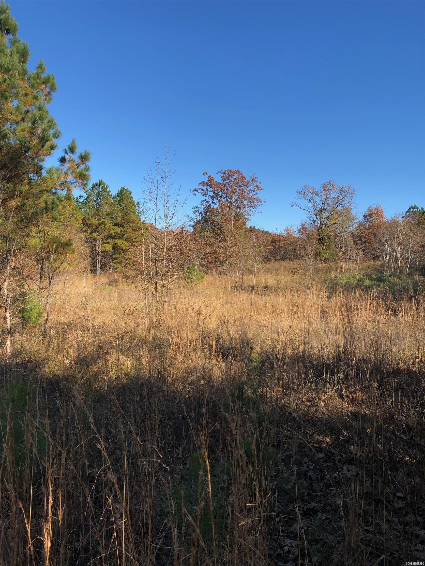 Tbd Hwy 301 Property Photo 7
