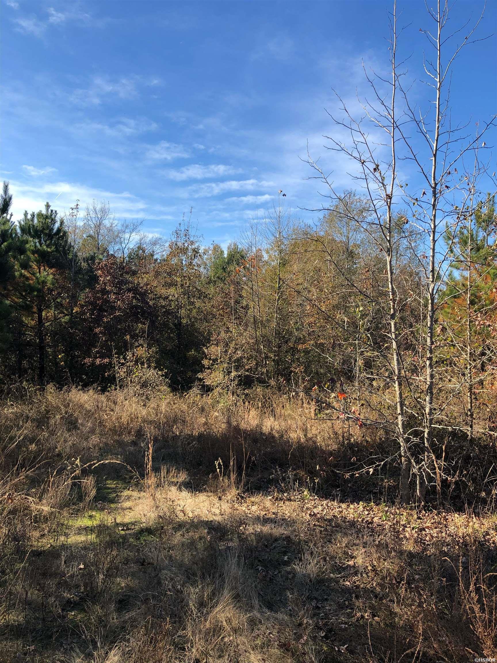 Tbd Hwy 301 Property Photo 8