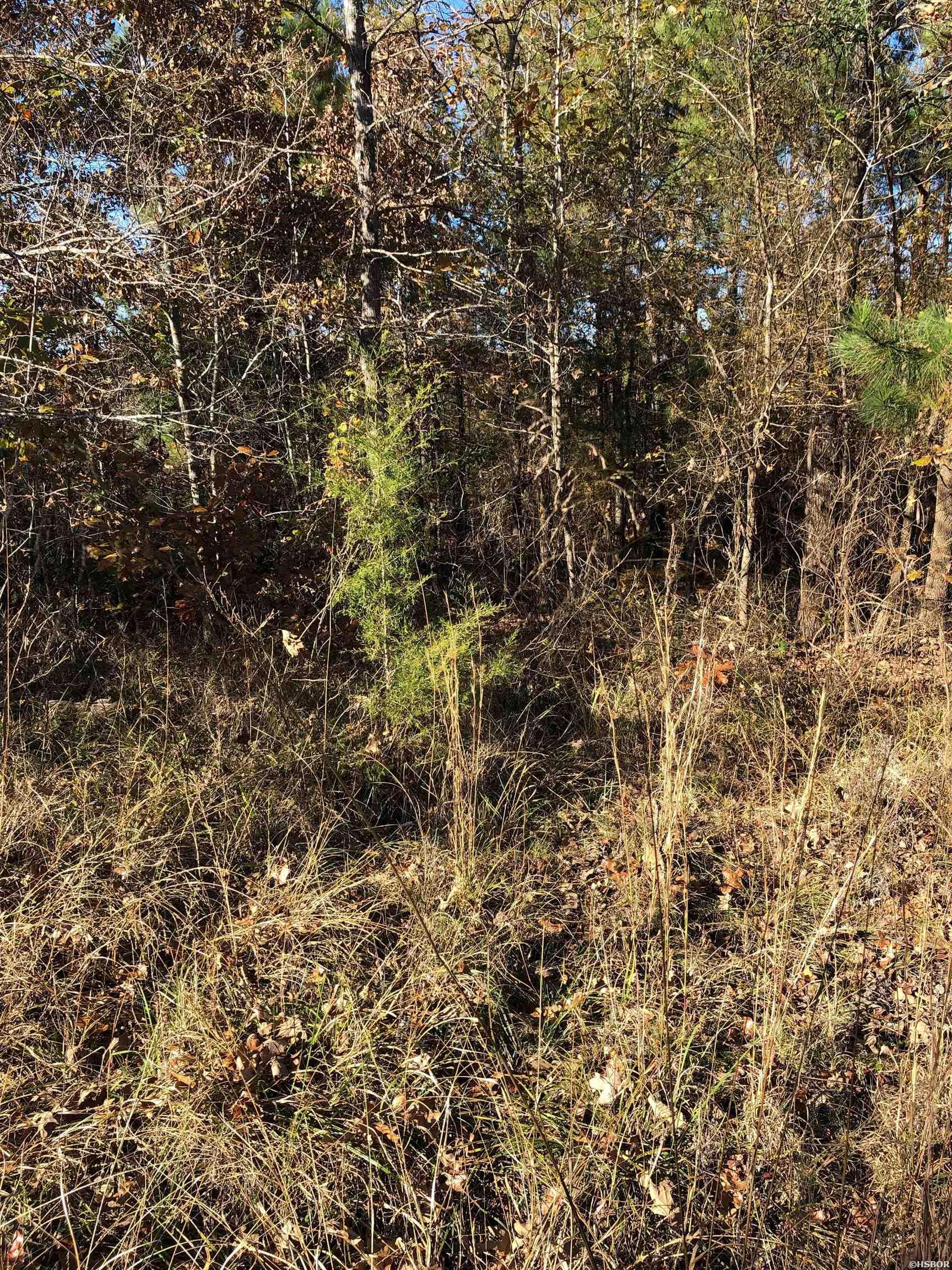 Tbd Hwy 301 Property Photo 10