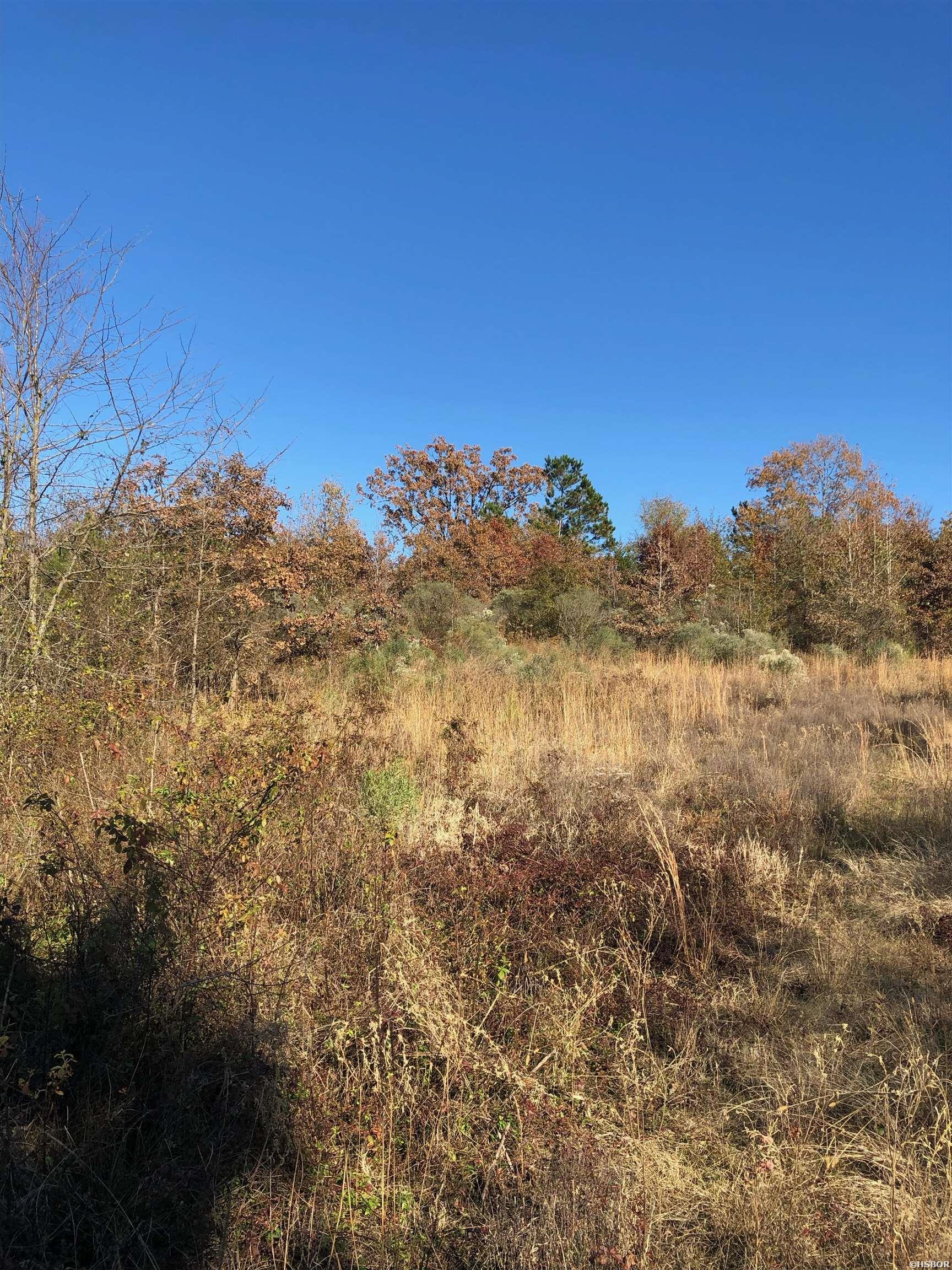 Tbd Hwy 301 Property Photo 12