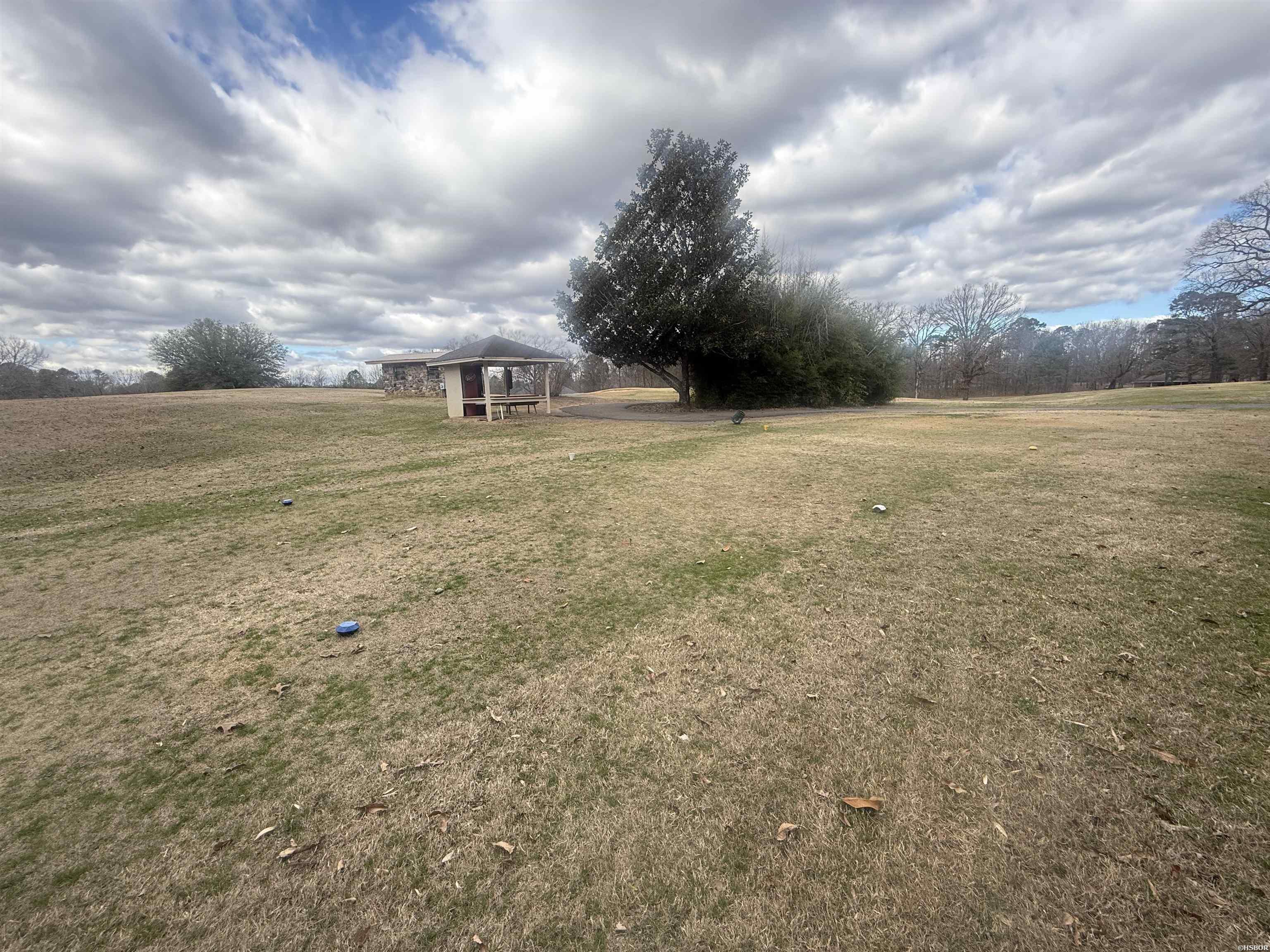 Tbd Arlington Drive Property Photo 3