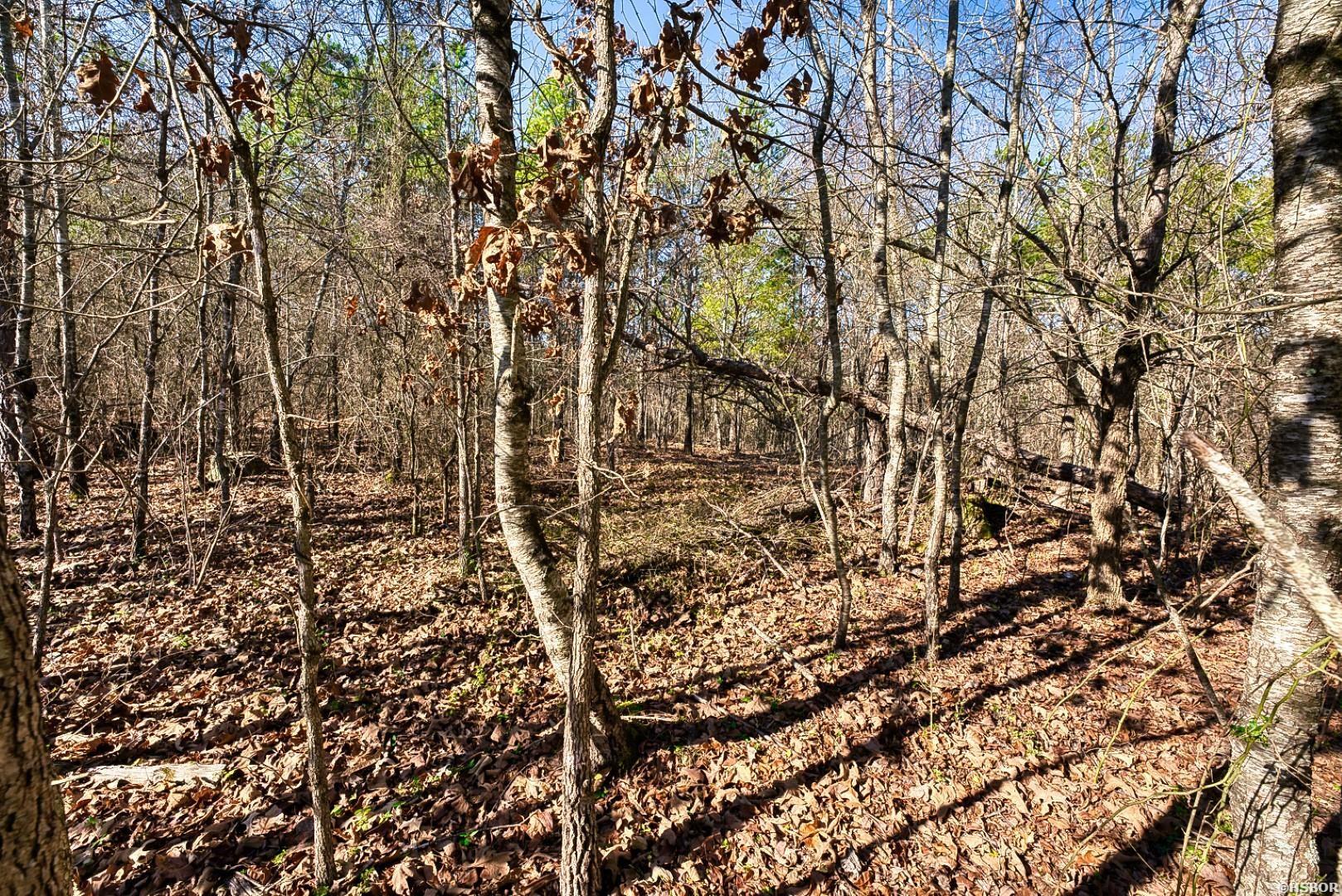 2600 Block Park Avenue Property Photo 8