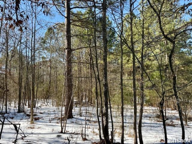 4630 Amity Road Property Photo 3