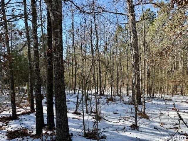 4630 Amity Road Property Photo 4