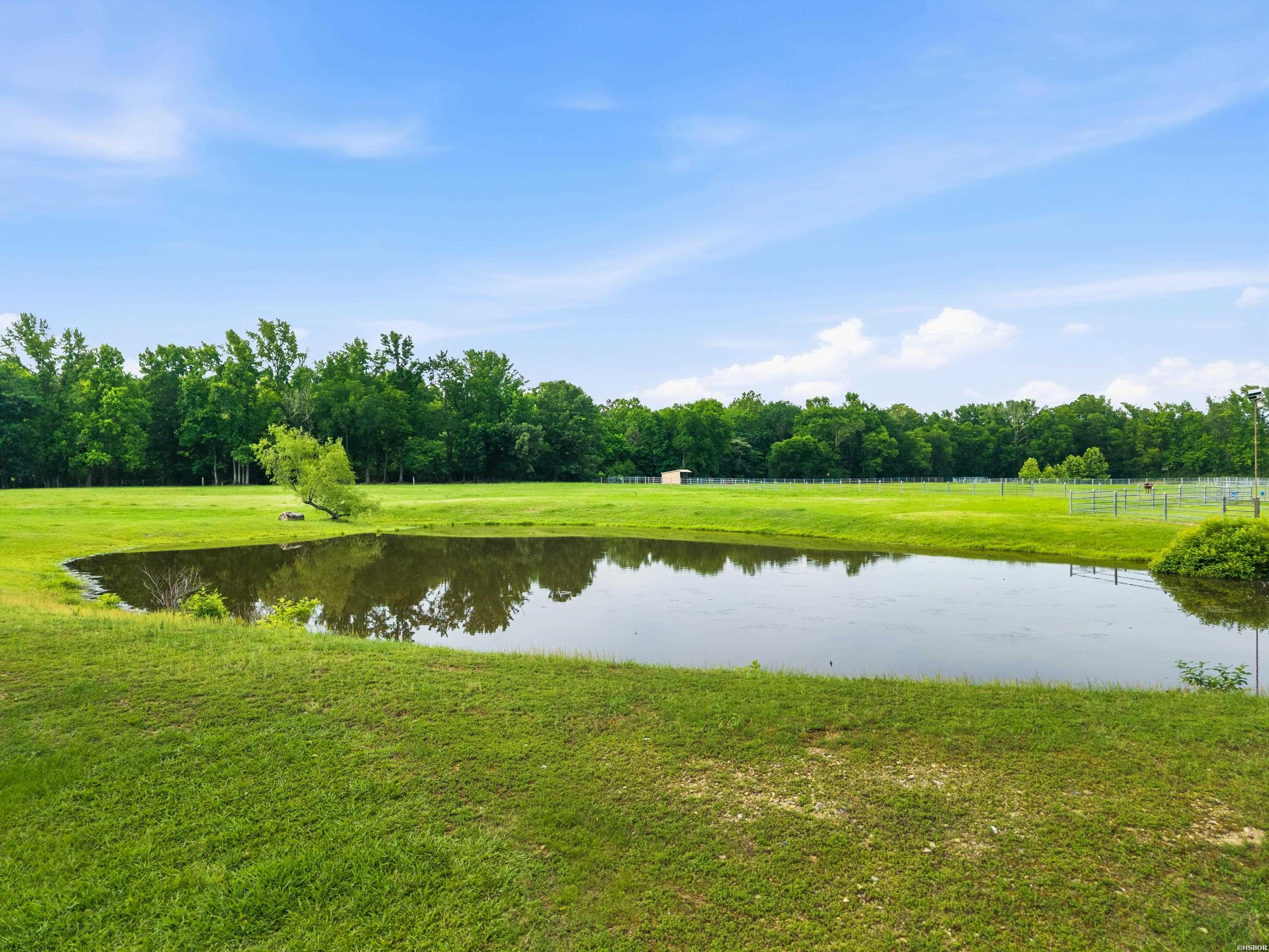 468 Rockdale Property Photo 9