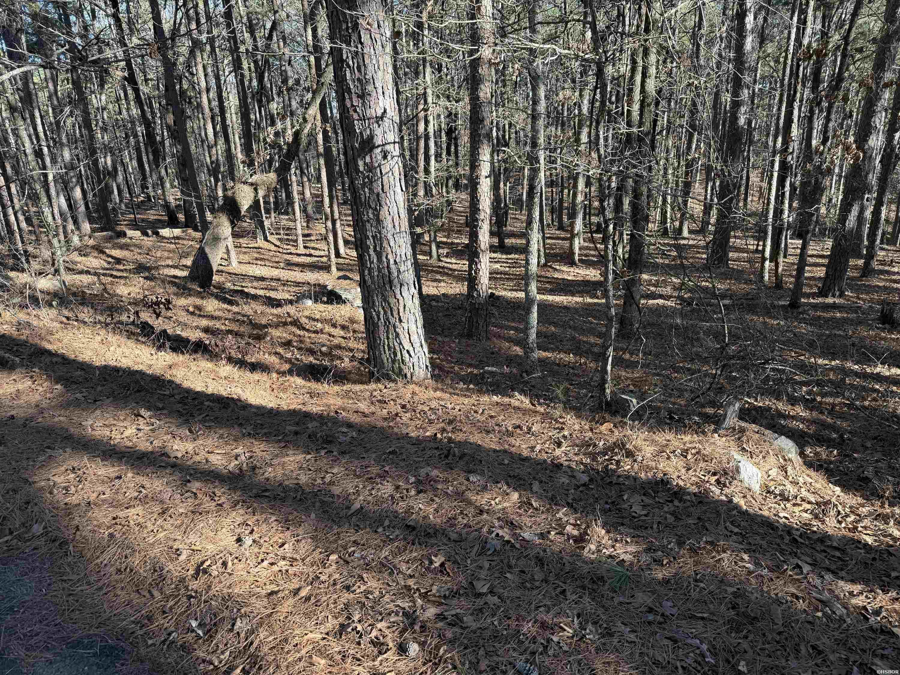 48 La Palabra Property Photo 4