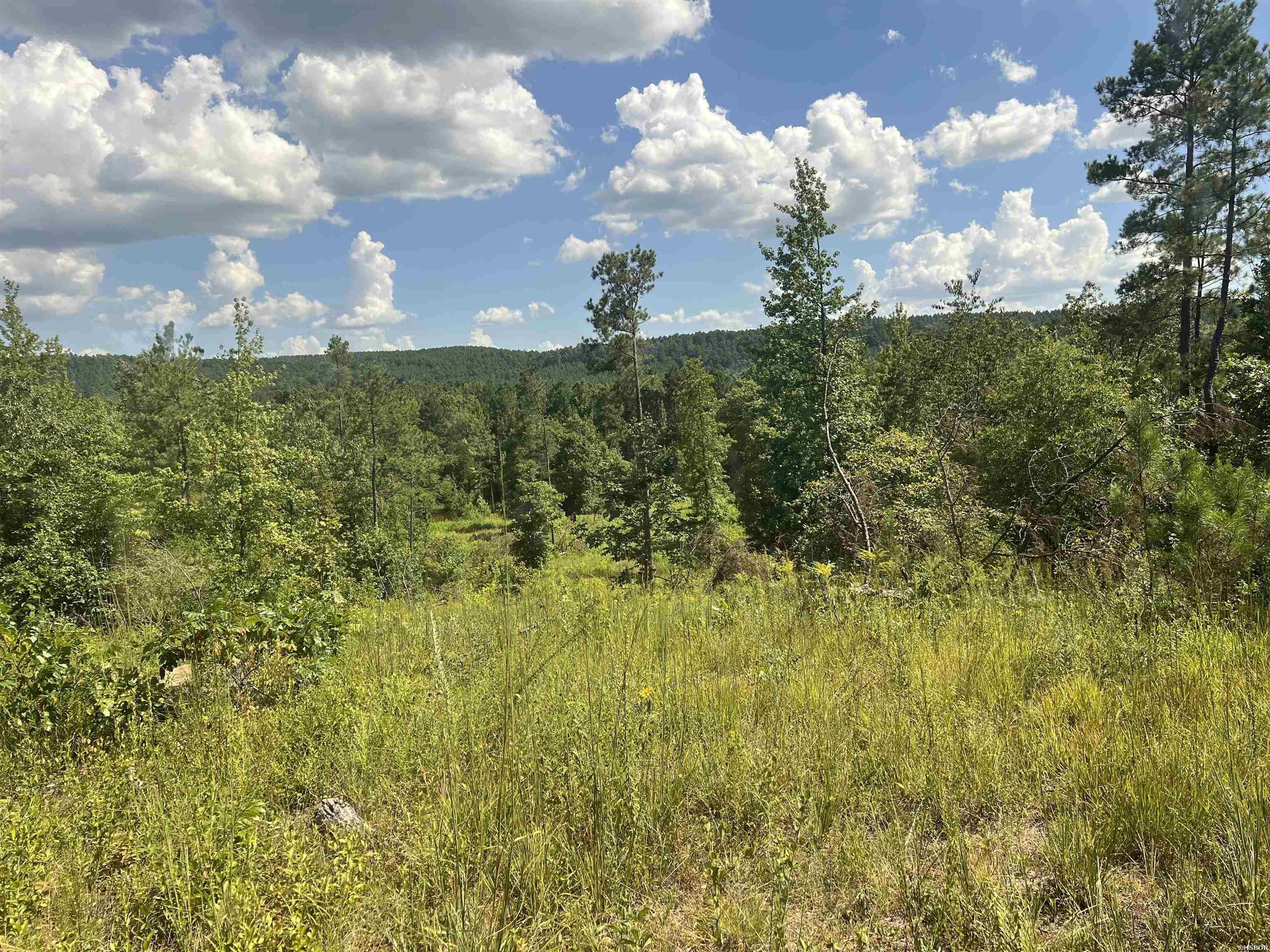 Xx John Ashley Property Photo 8