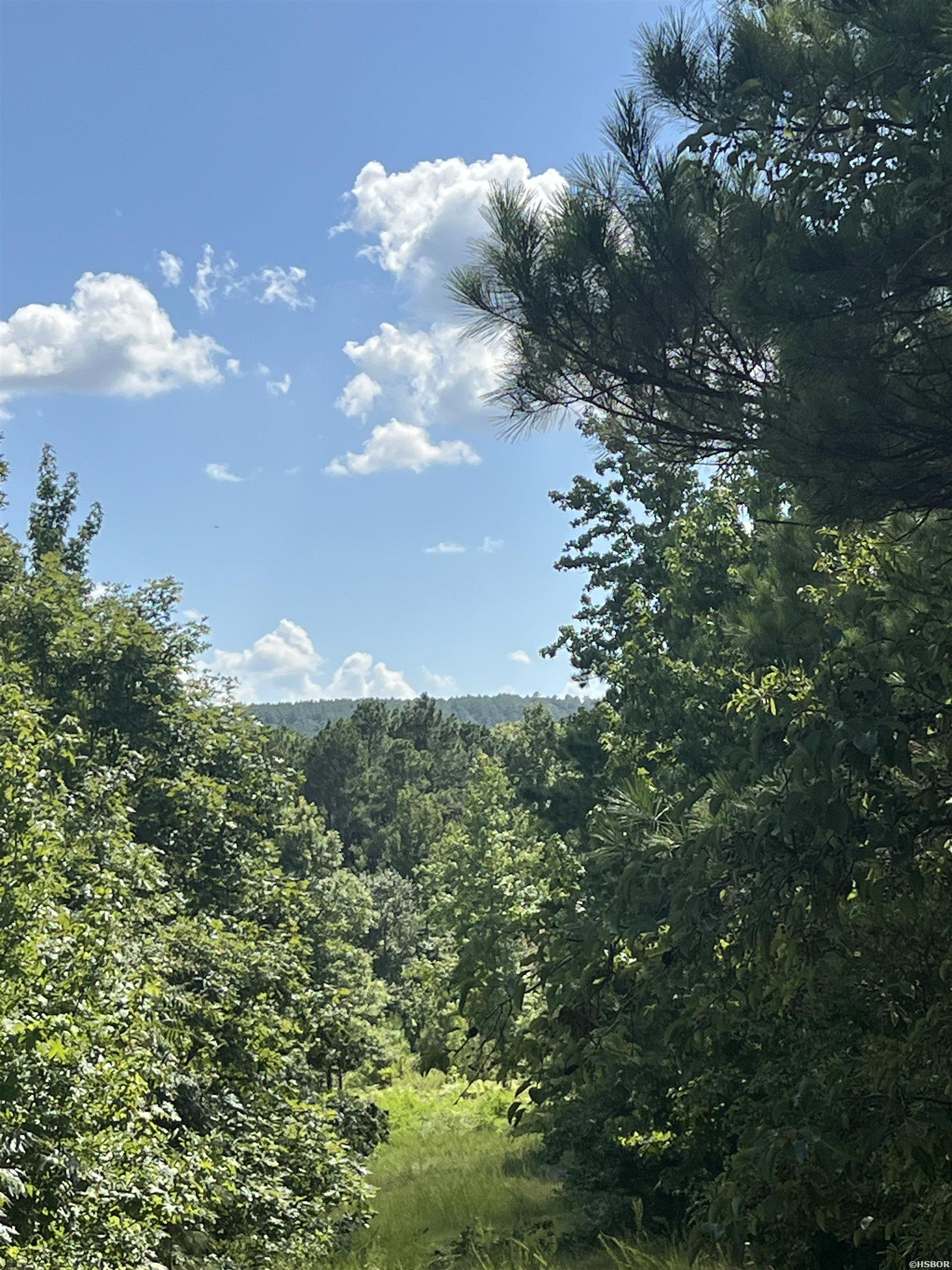 Xx John Ashley Property Photo 9