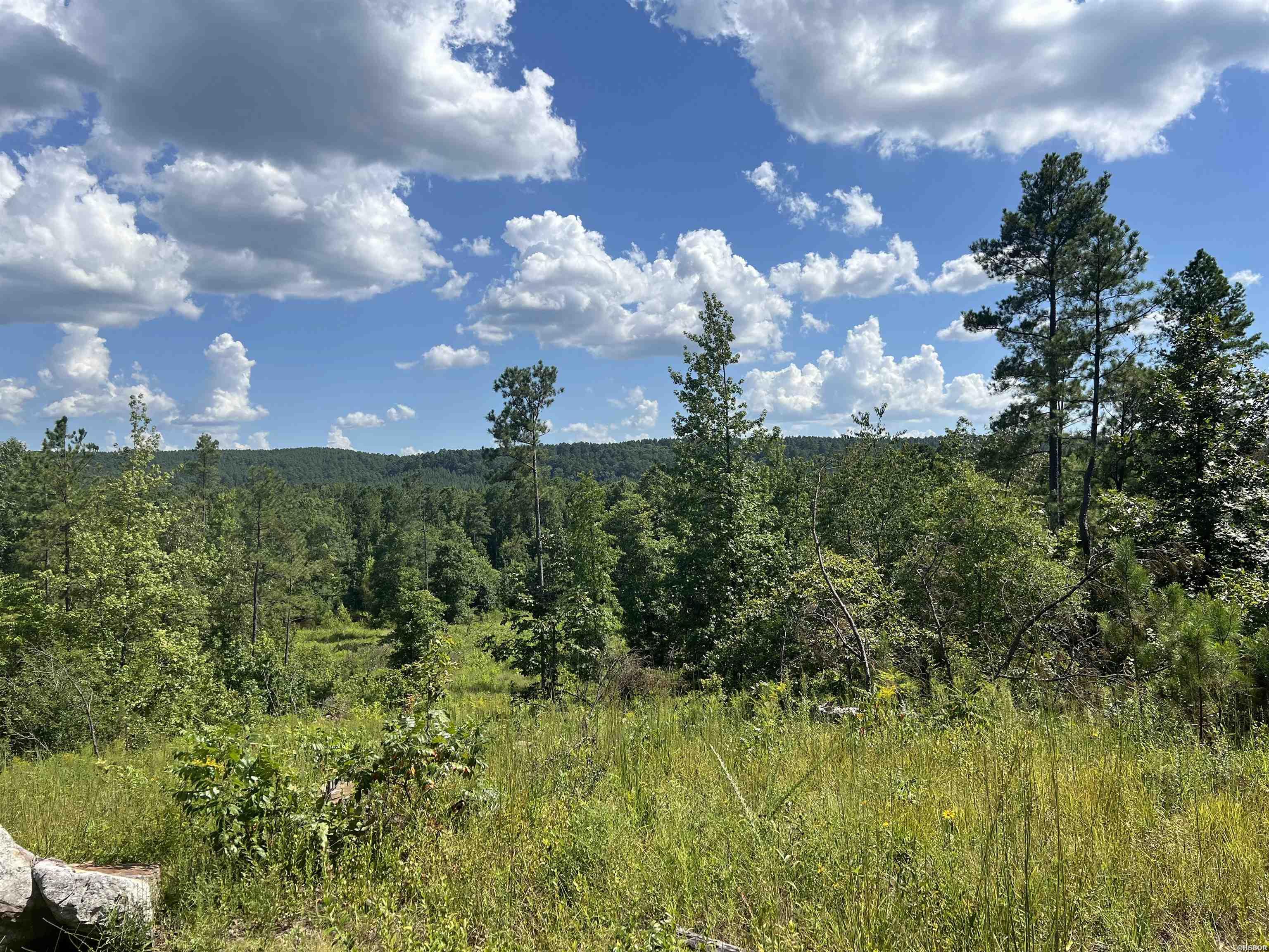 Xx John Ashley Property Photo 2