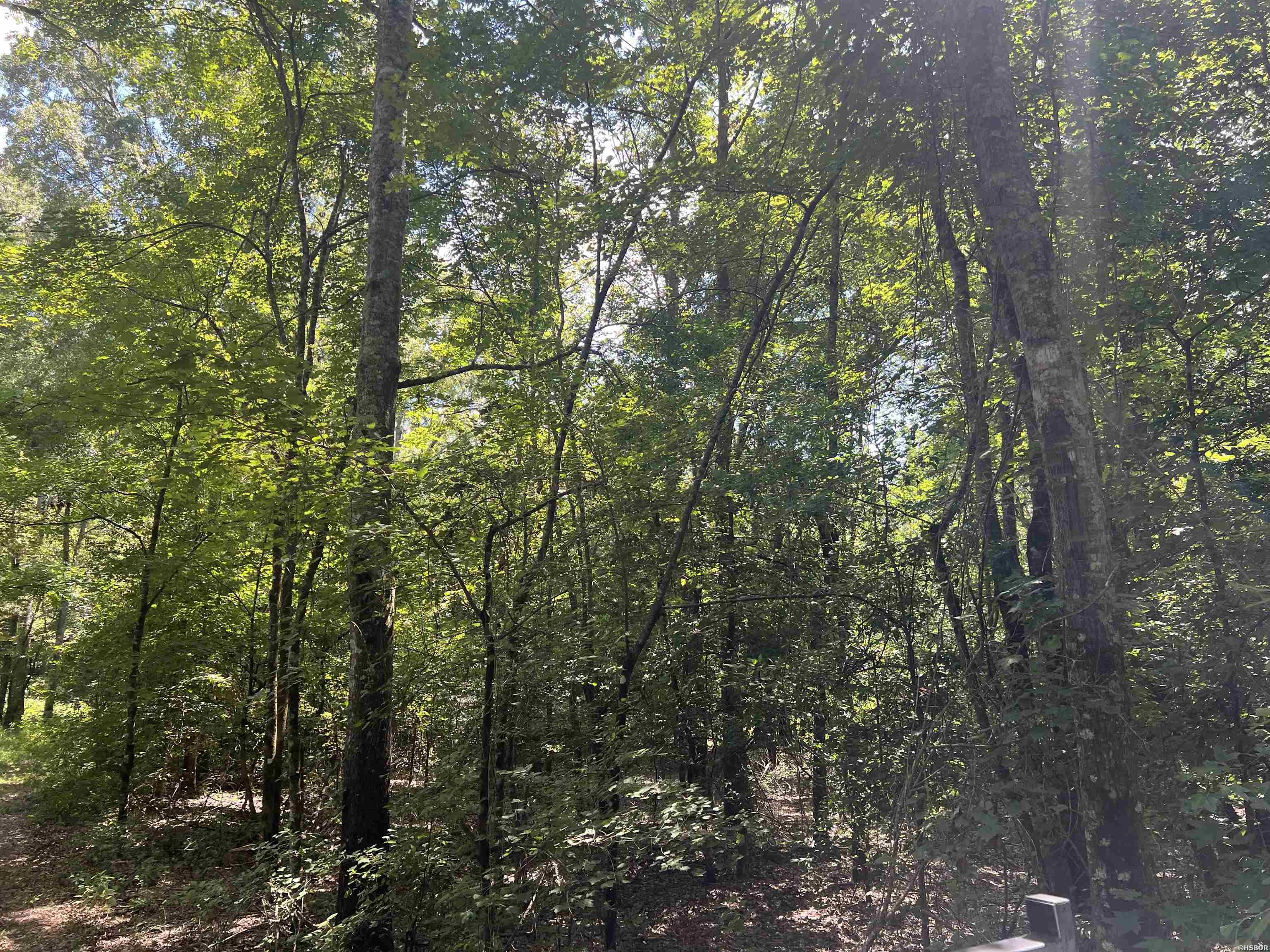 Xx John Ashley Property Photo 3
