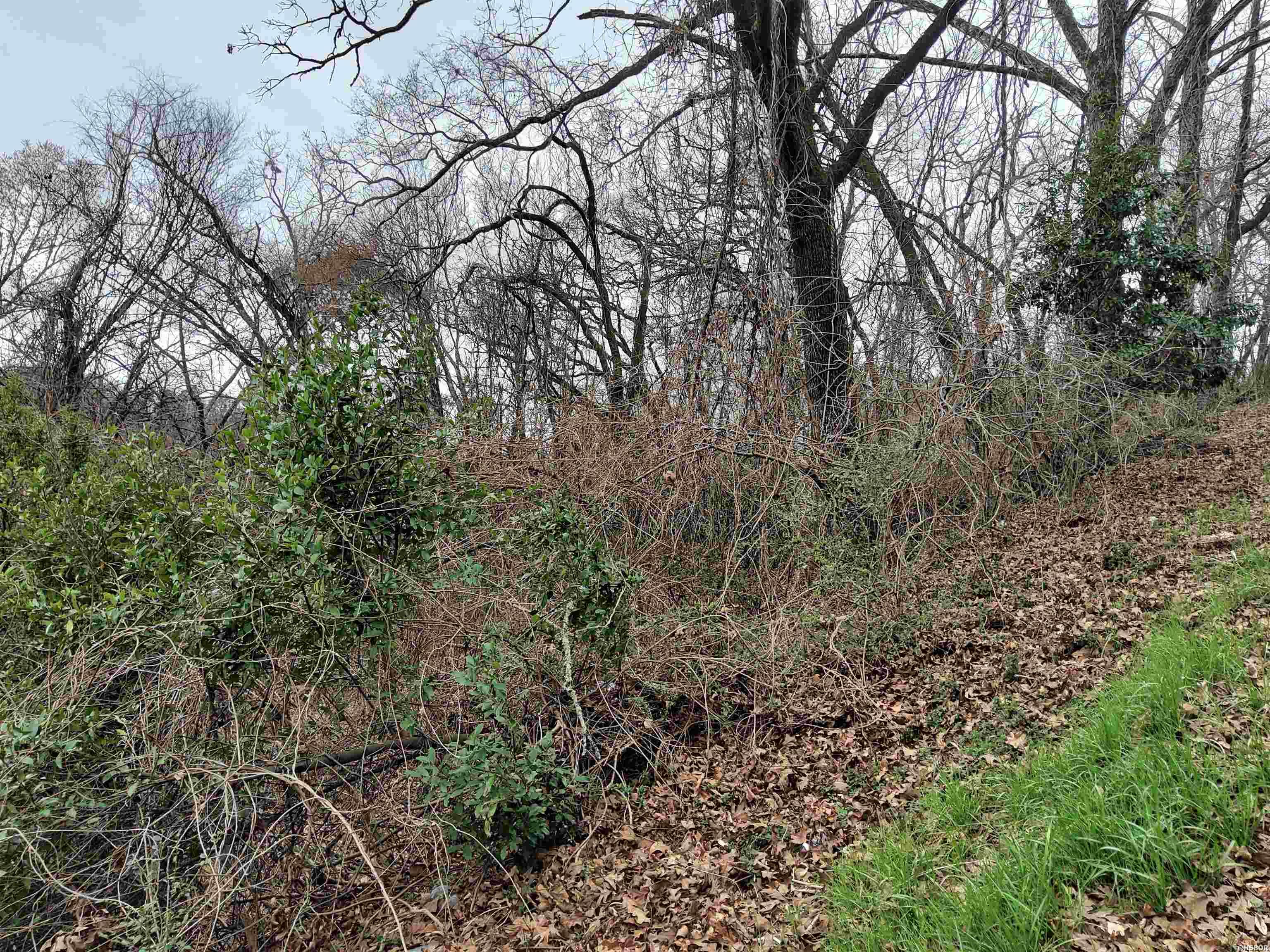 Tbd Wade Street Property Photo 3