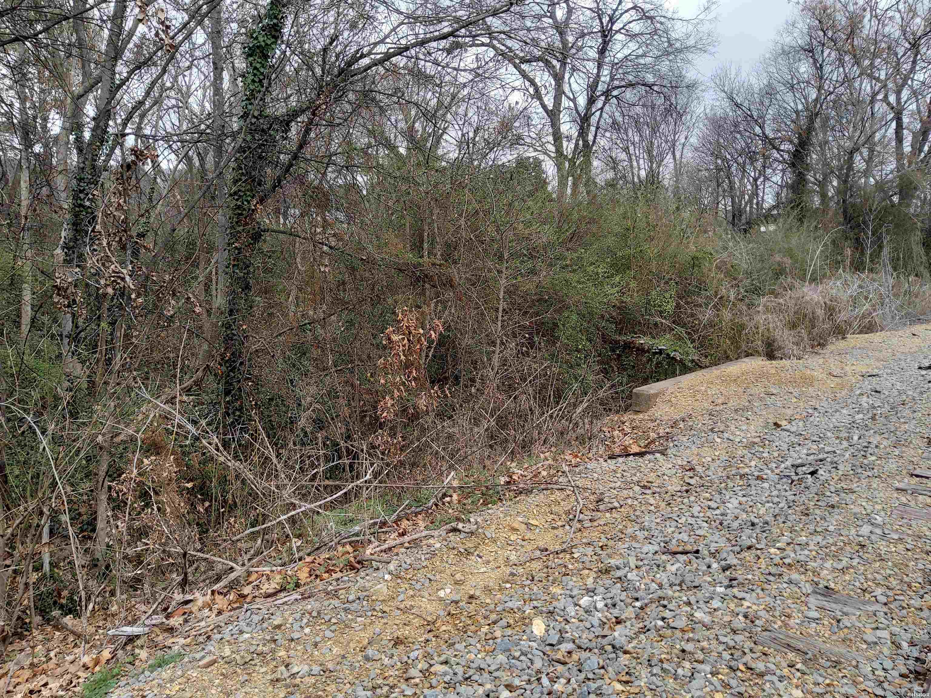 TBD ALONZO Street Property Photo 1