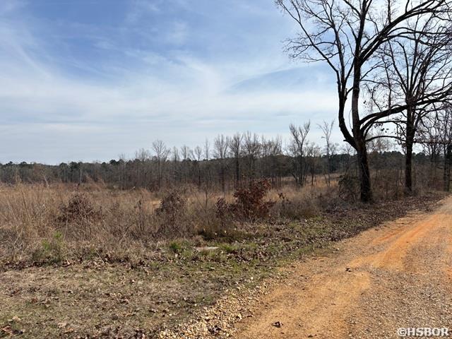000 Red Springs Road Property Photo 3