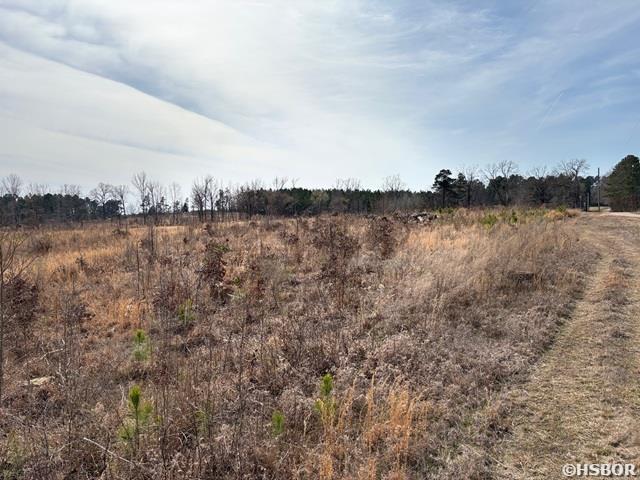 000 Red Springs Road Property Photo 4