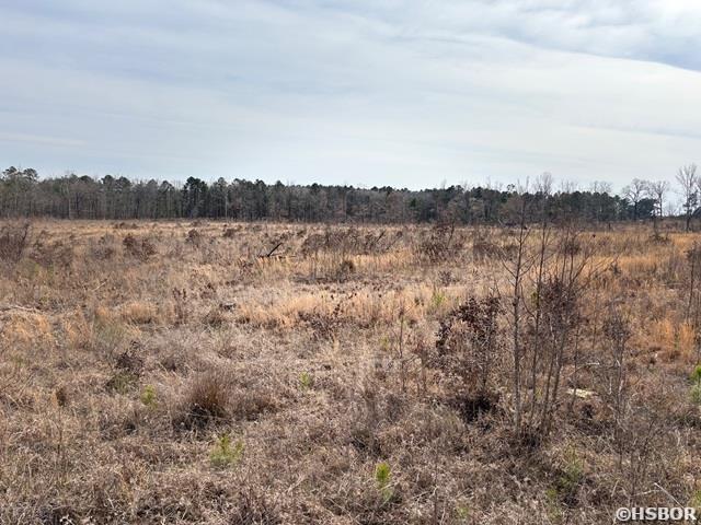 000 Red Springs Road Property Photo 5