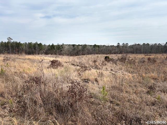 000 Red Springs Road Property Photo 6