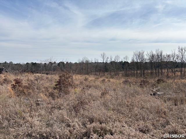 000 Red Springs Road Property Photo 7