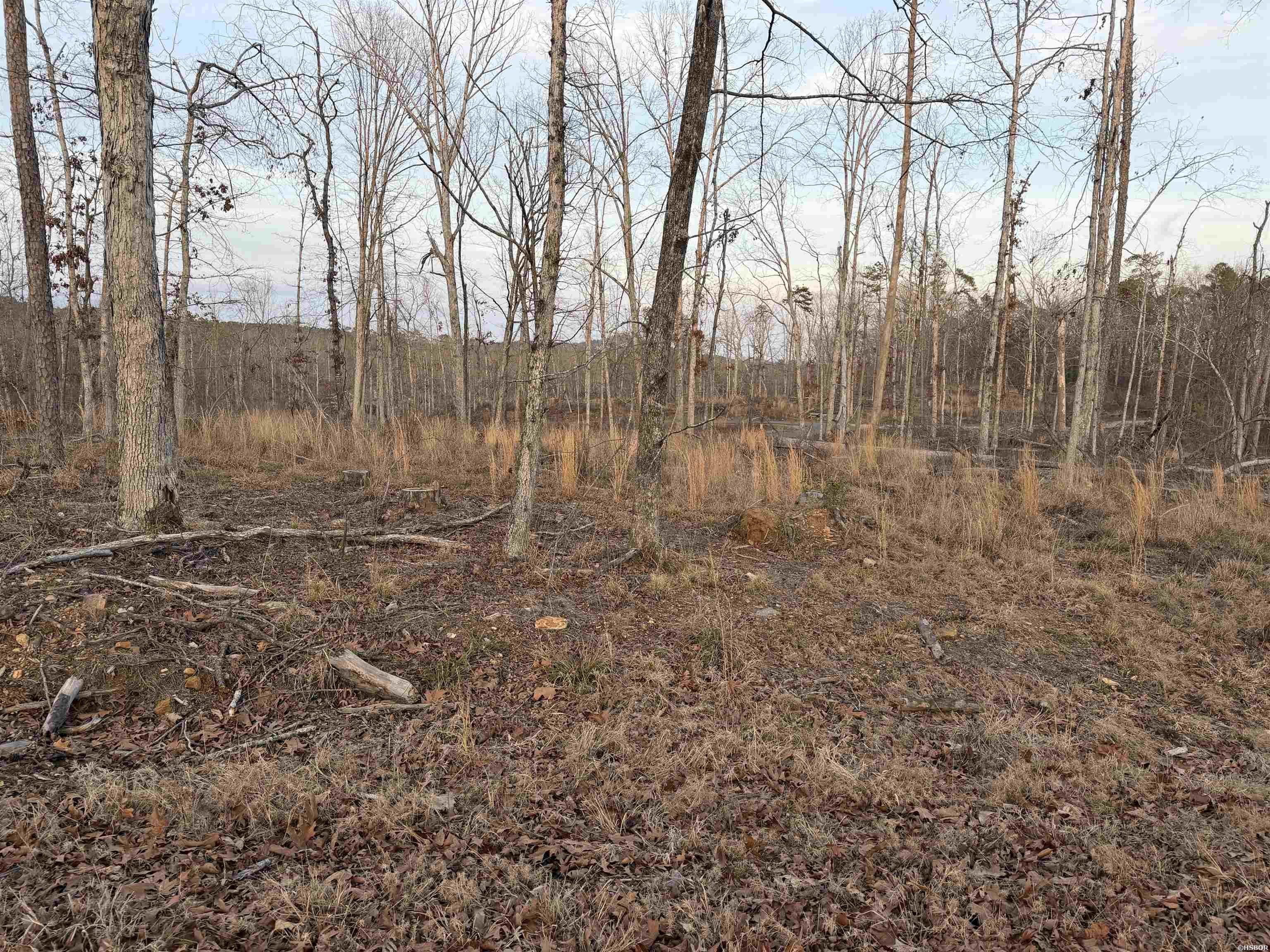 Tbd Burgos Way Property Photo 1