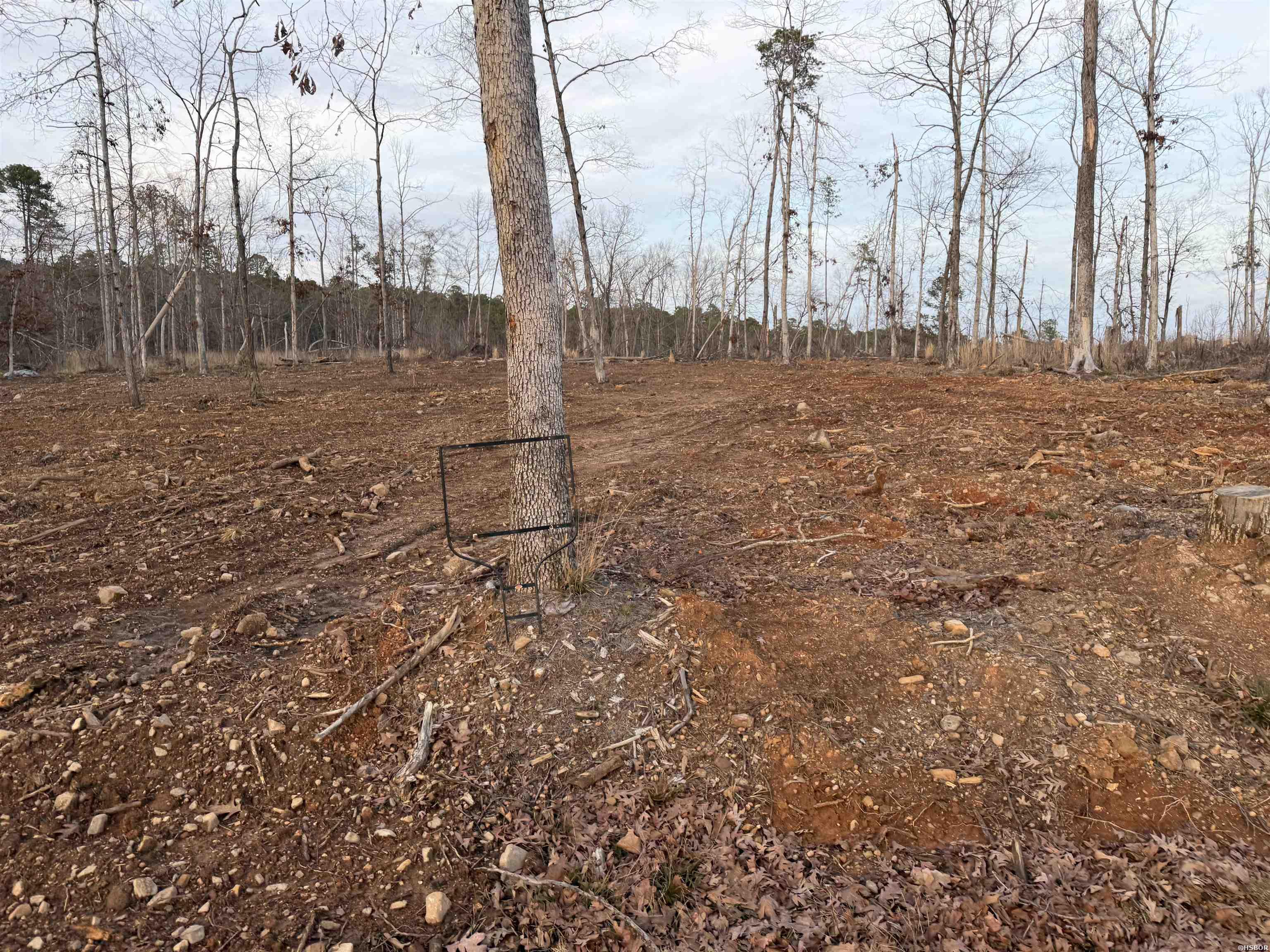 TBD BURGOS Lane Property Photo 1