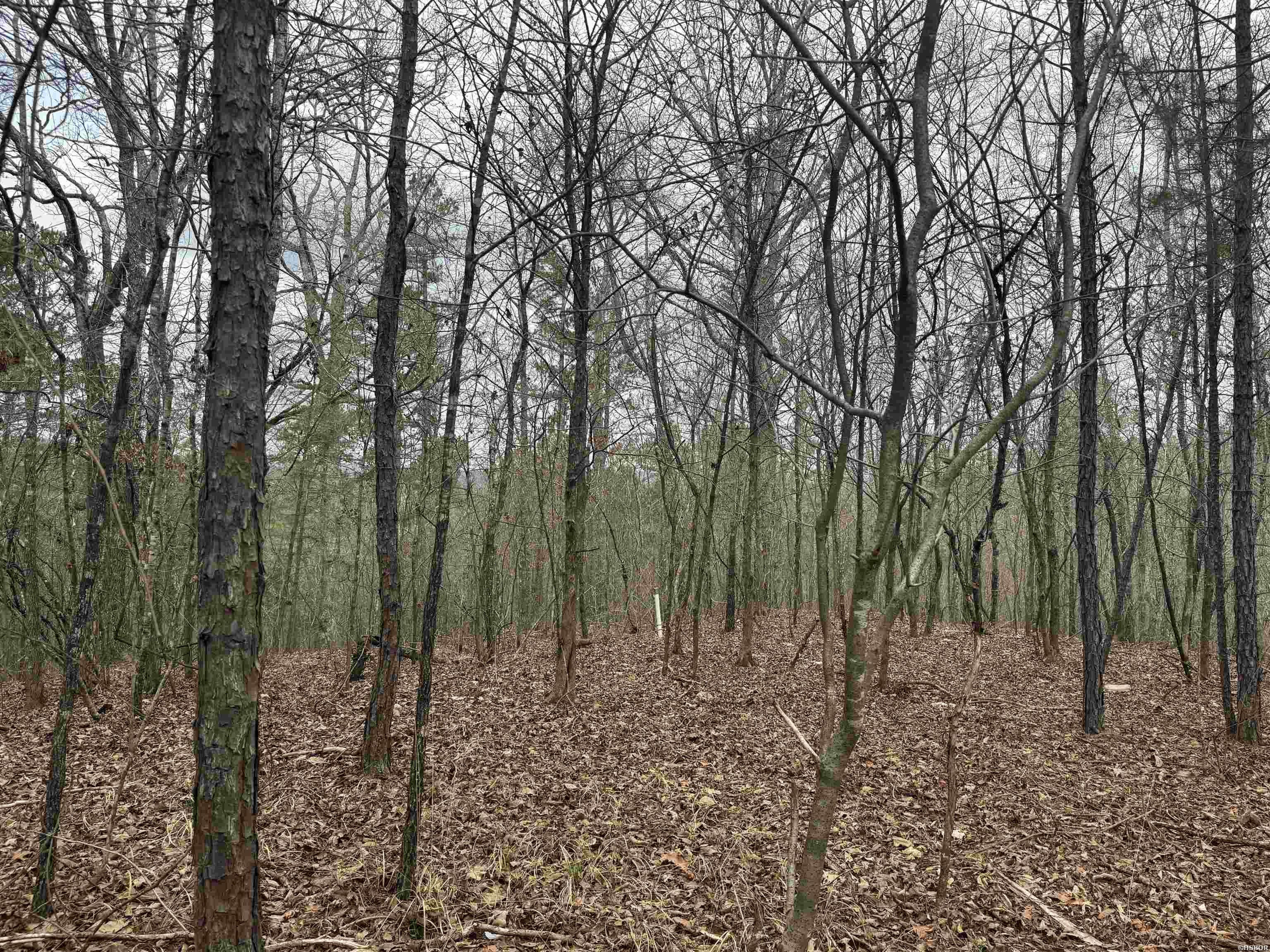 9 Lots Pirate Drive Property Photo 8