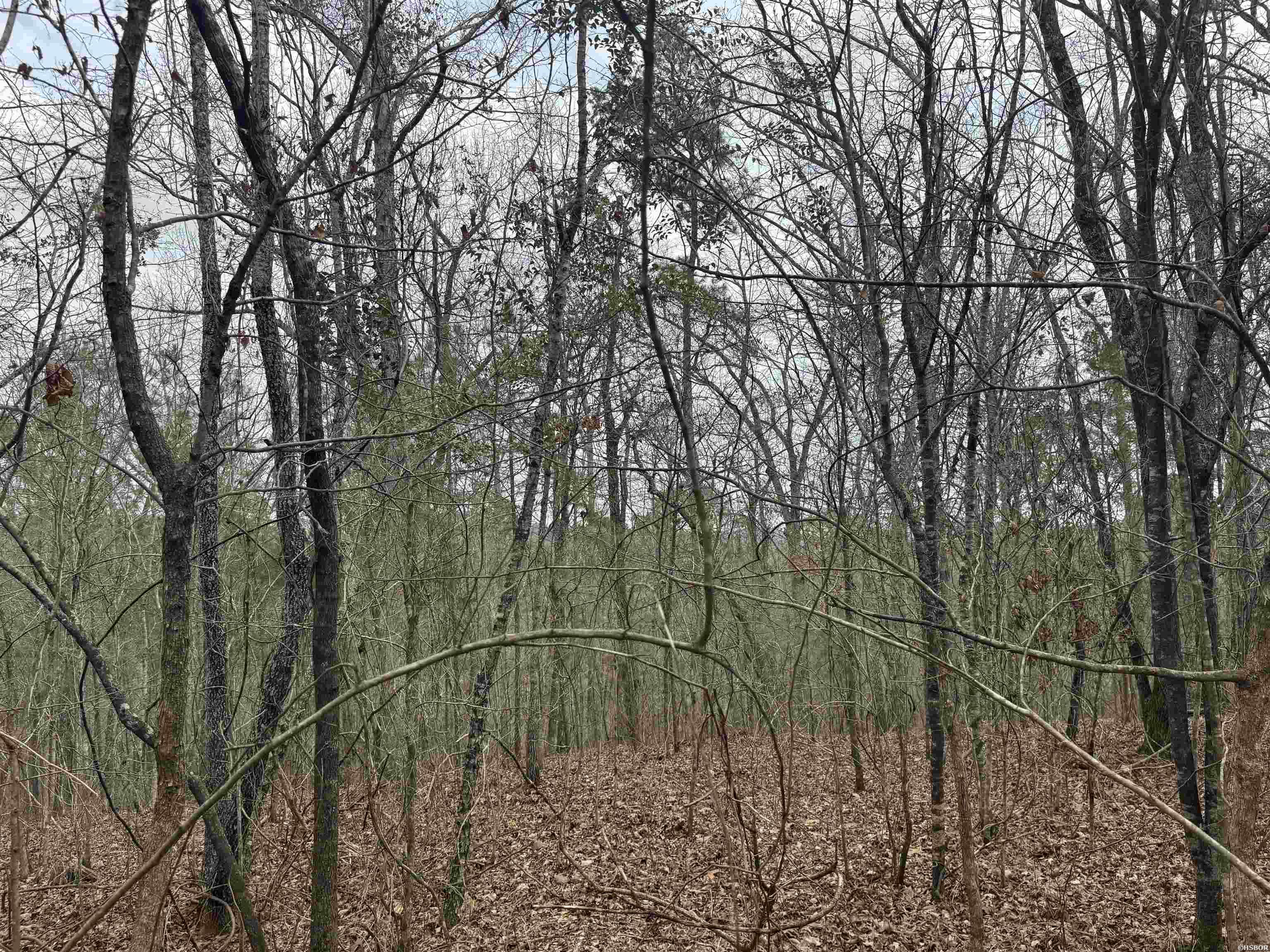 9 Lots Pirate Drive Property Photo 10