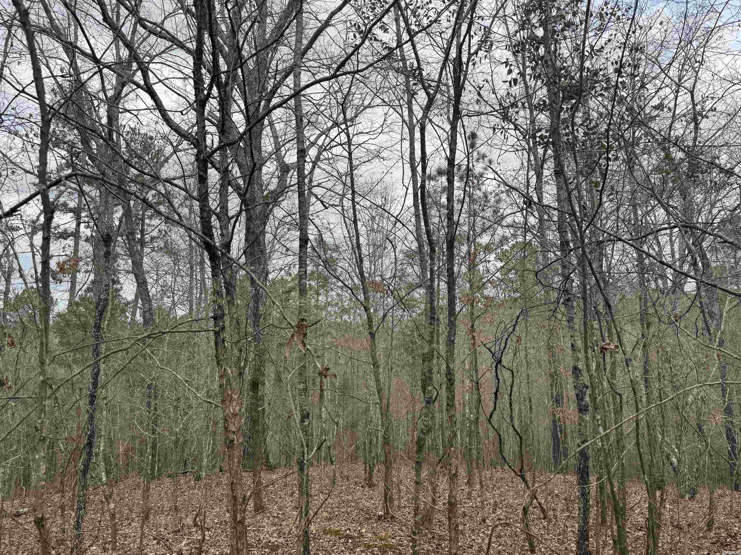 9 Lots Pirate Drive Property Photo 11