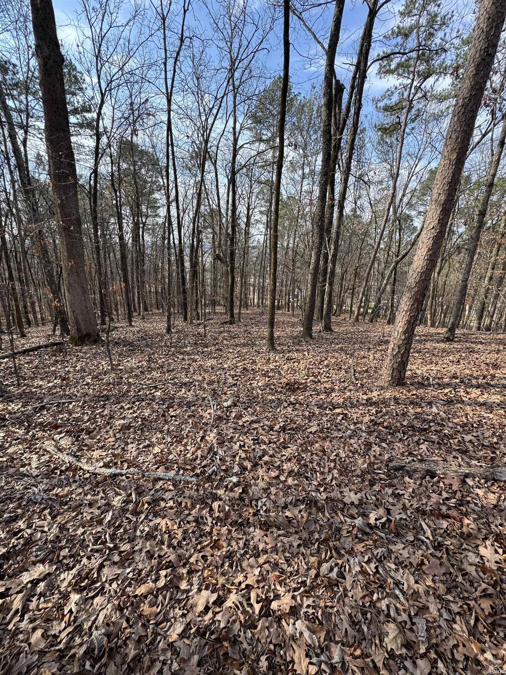 00 Hays Property Photo 3
