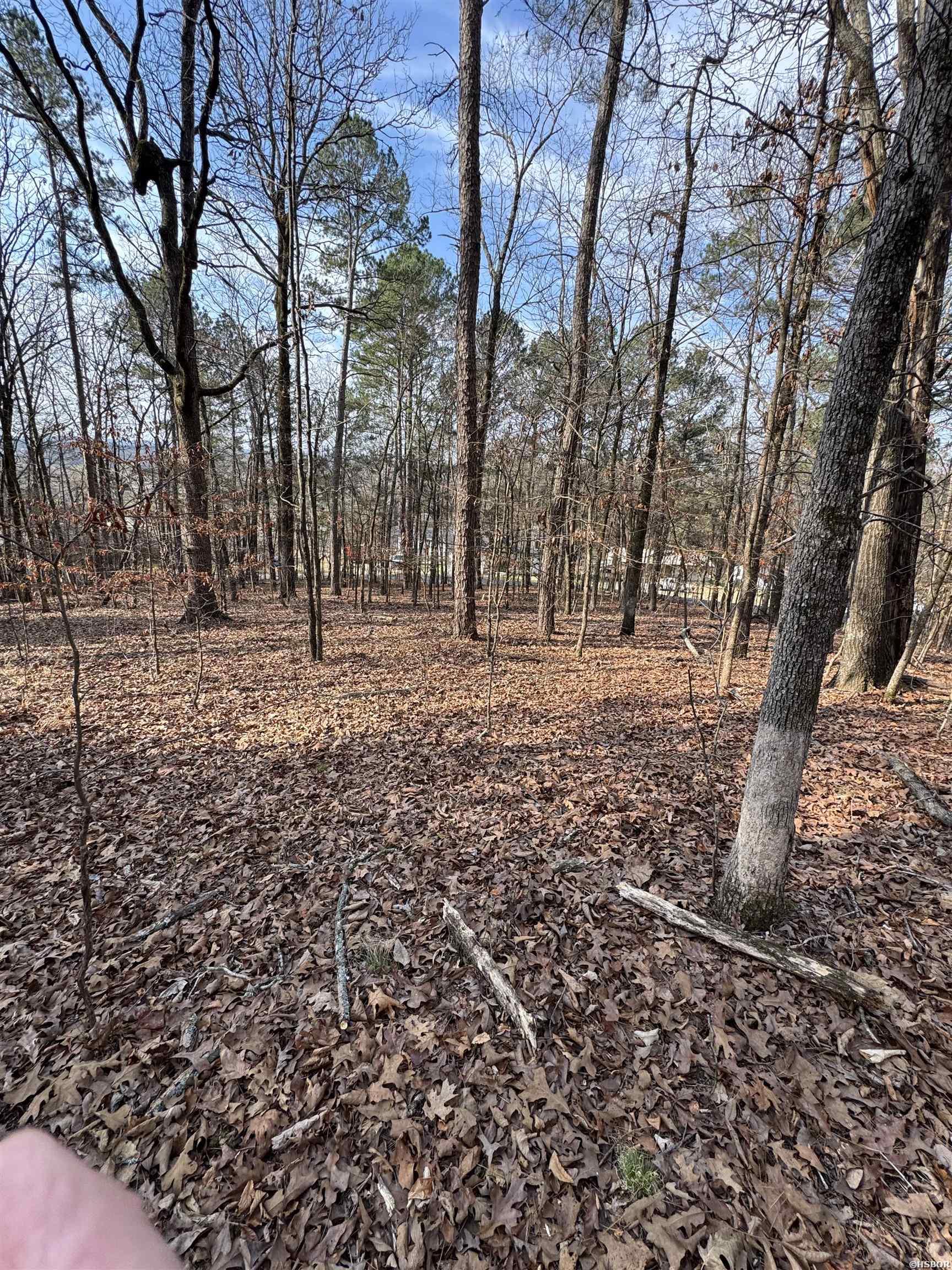 00 Hays Property Photo 5