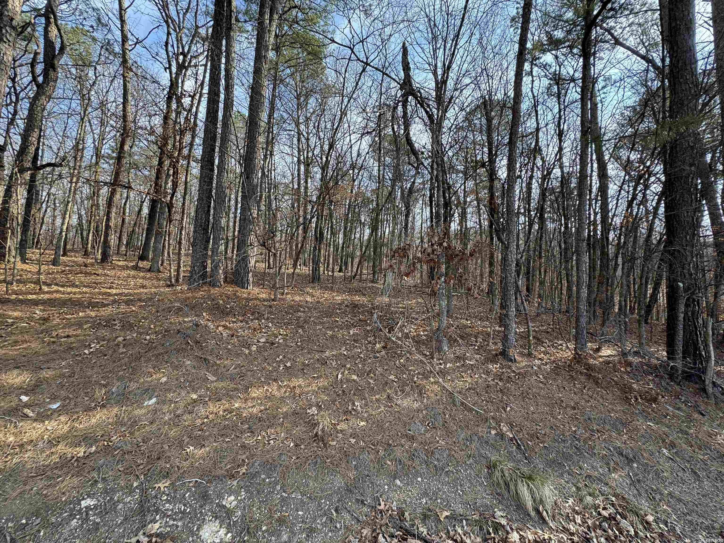 00 Hays Property Photo 6