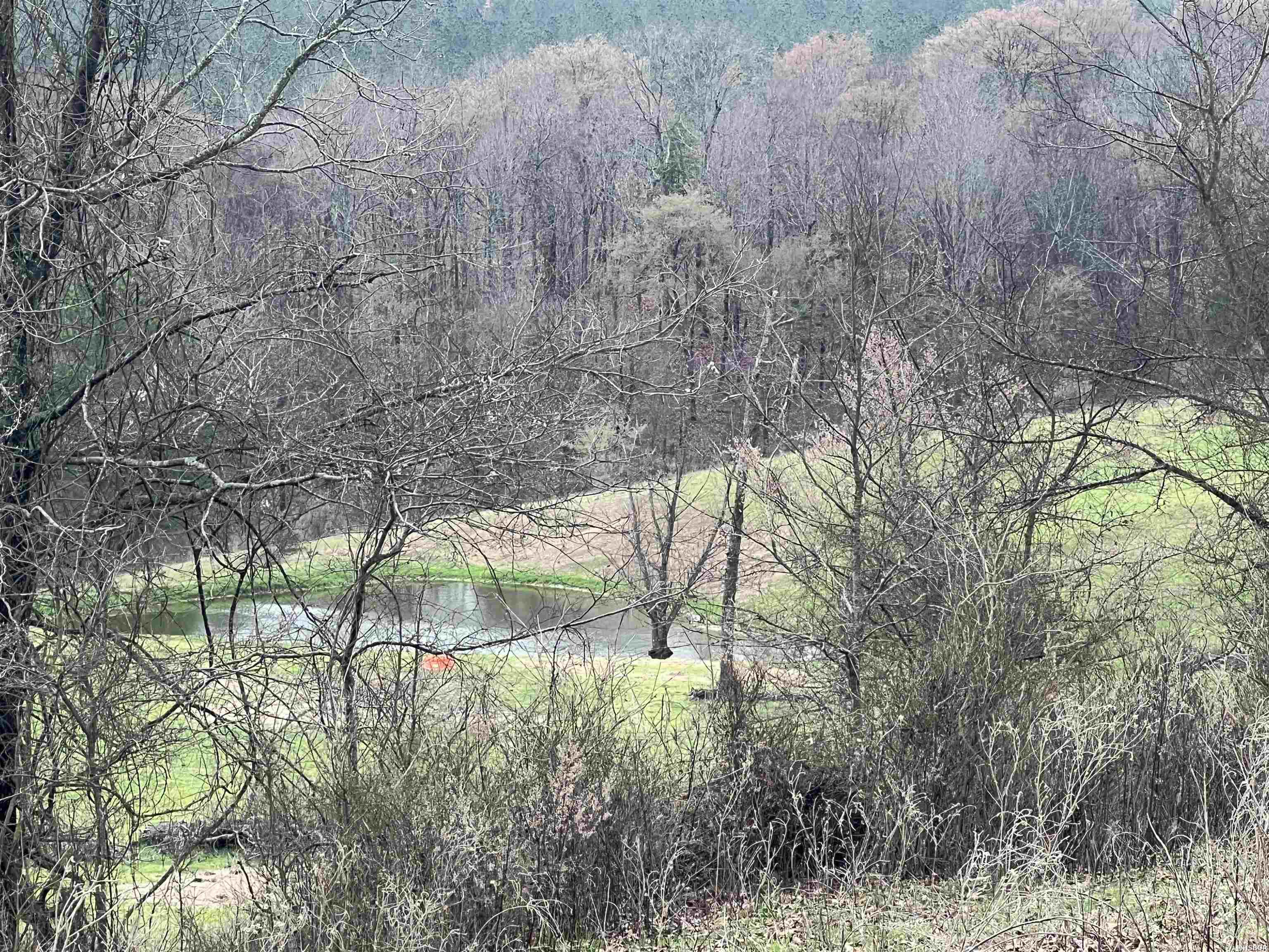 Xx Shawn Property Photo 7