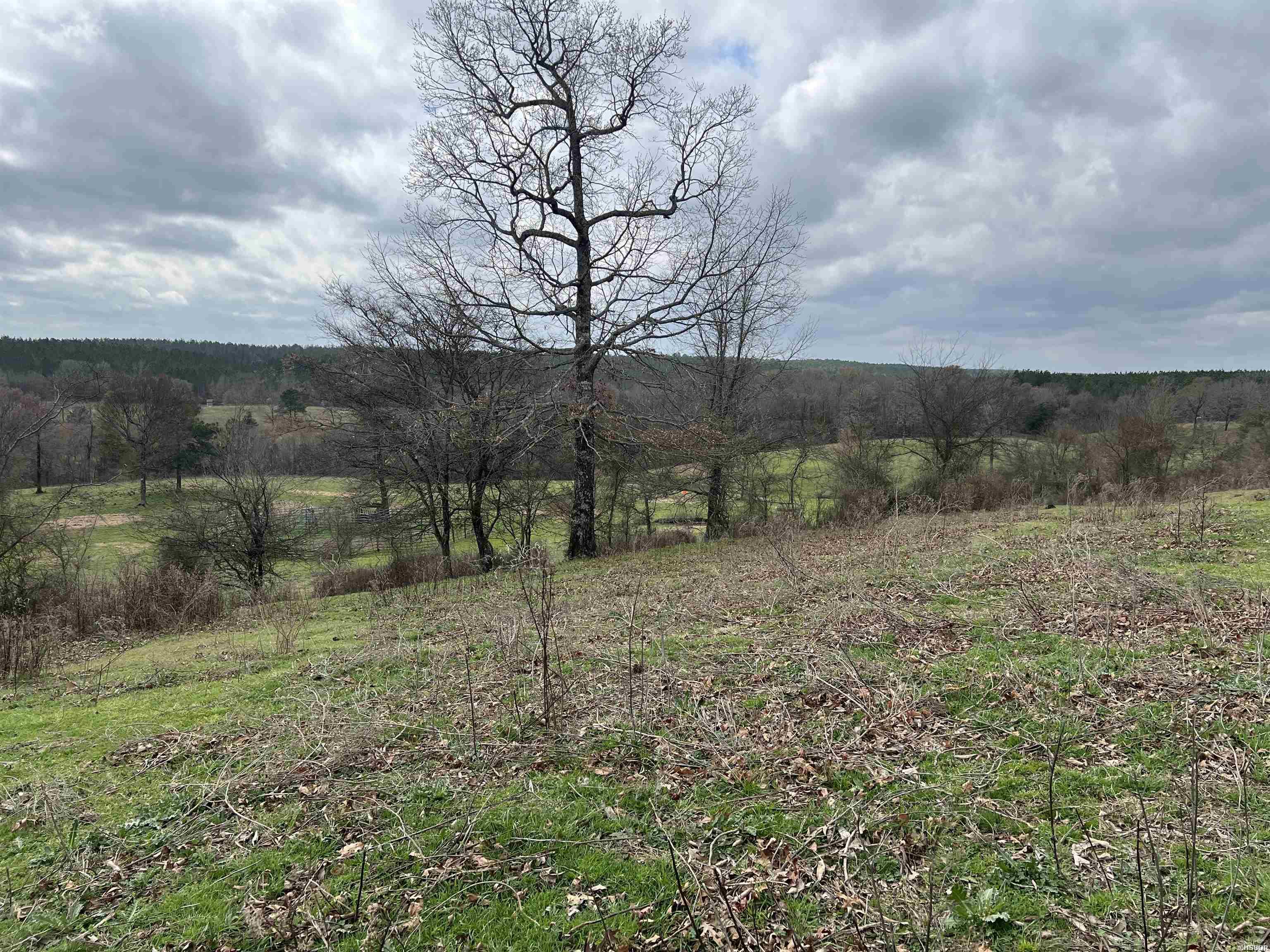 Xx Shawn Property Photo 9