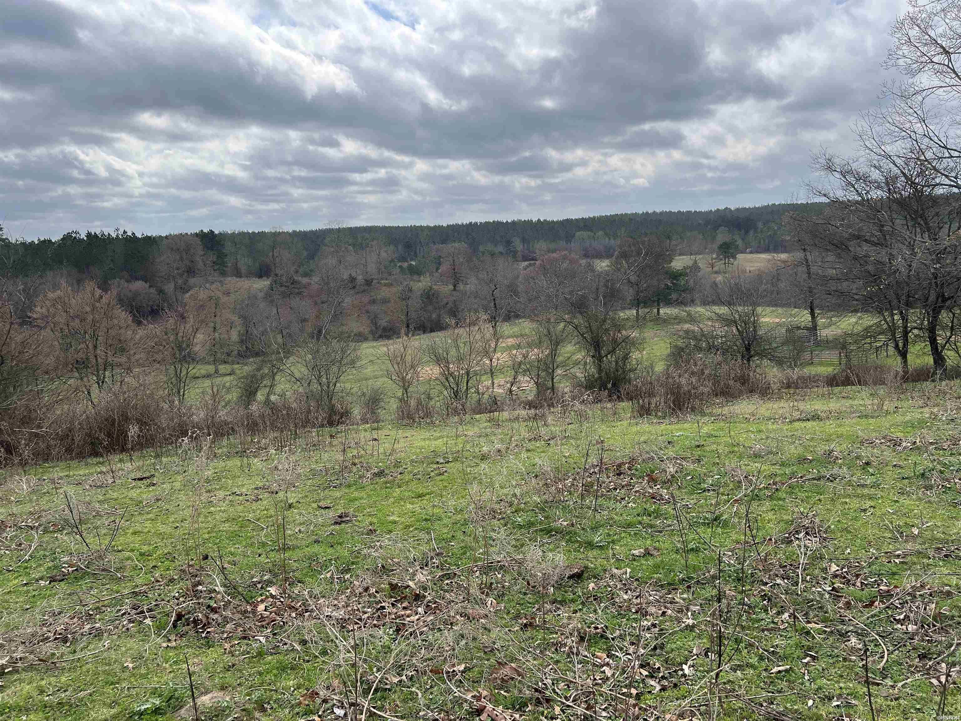 Xx Shawn Property Photo 10